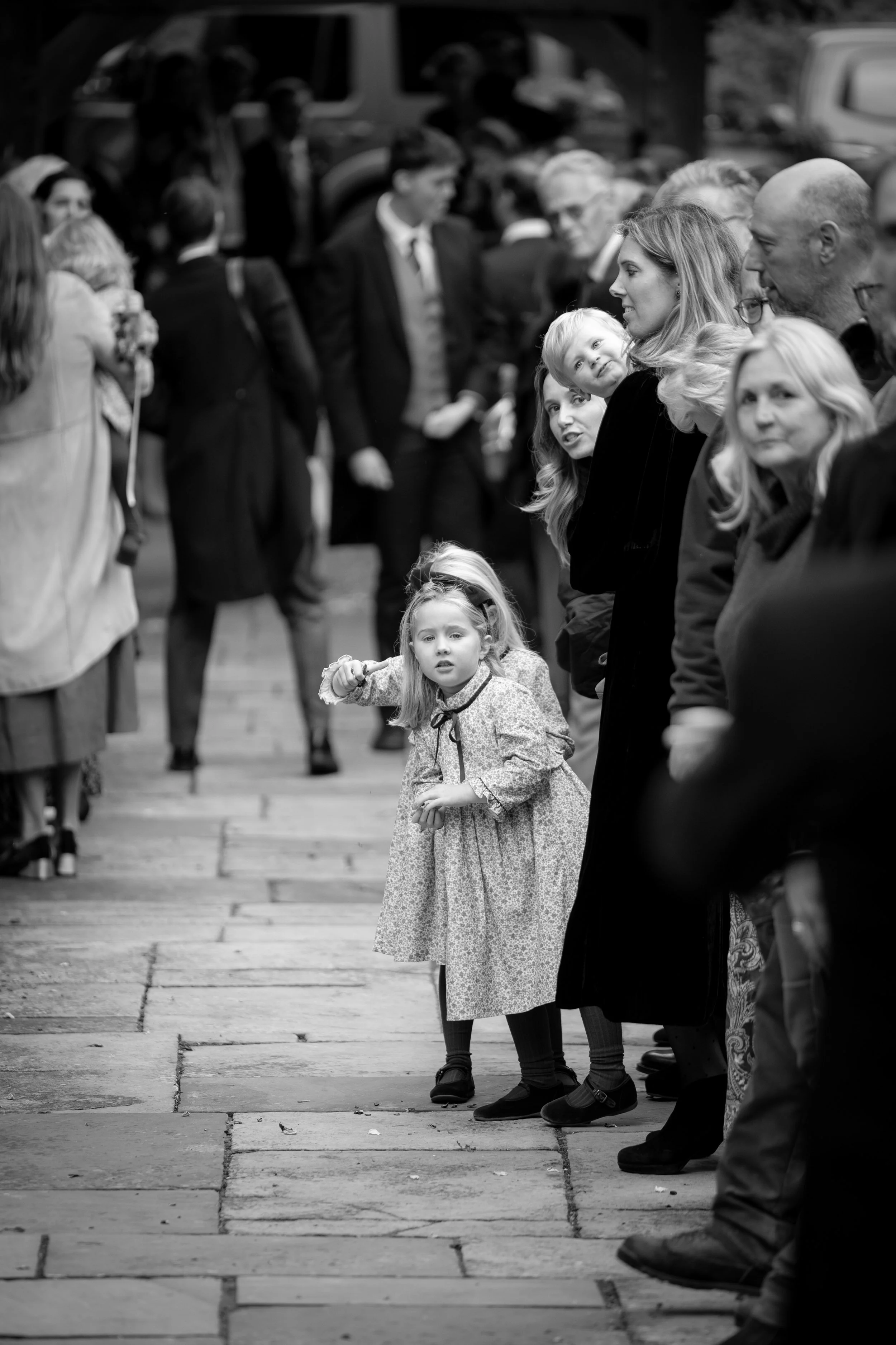 W6314-454 - SRGB- srgb.jpg