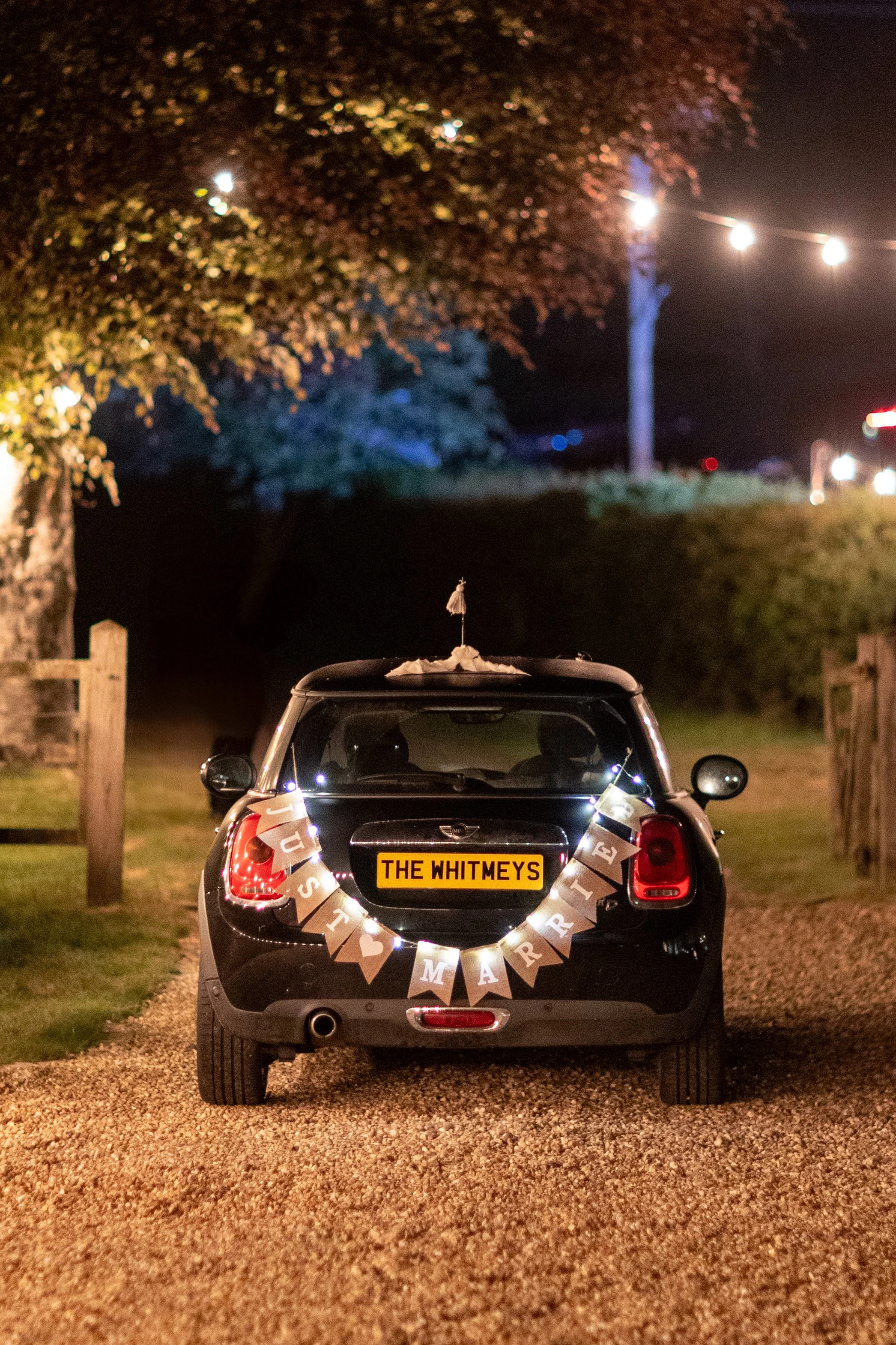 S5881-1433- srgb.jpg