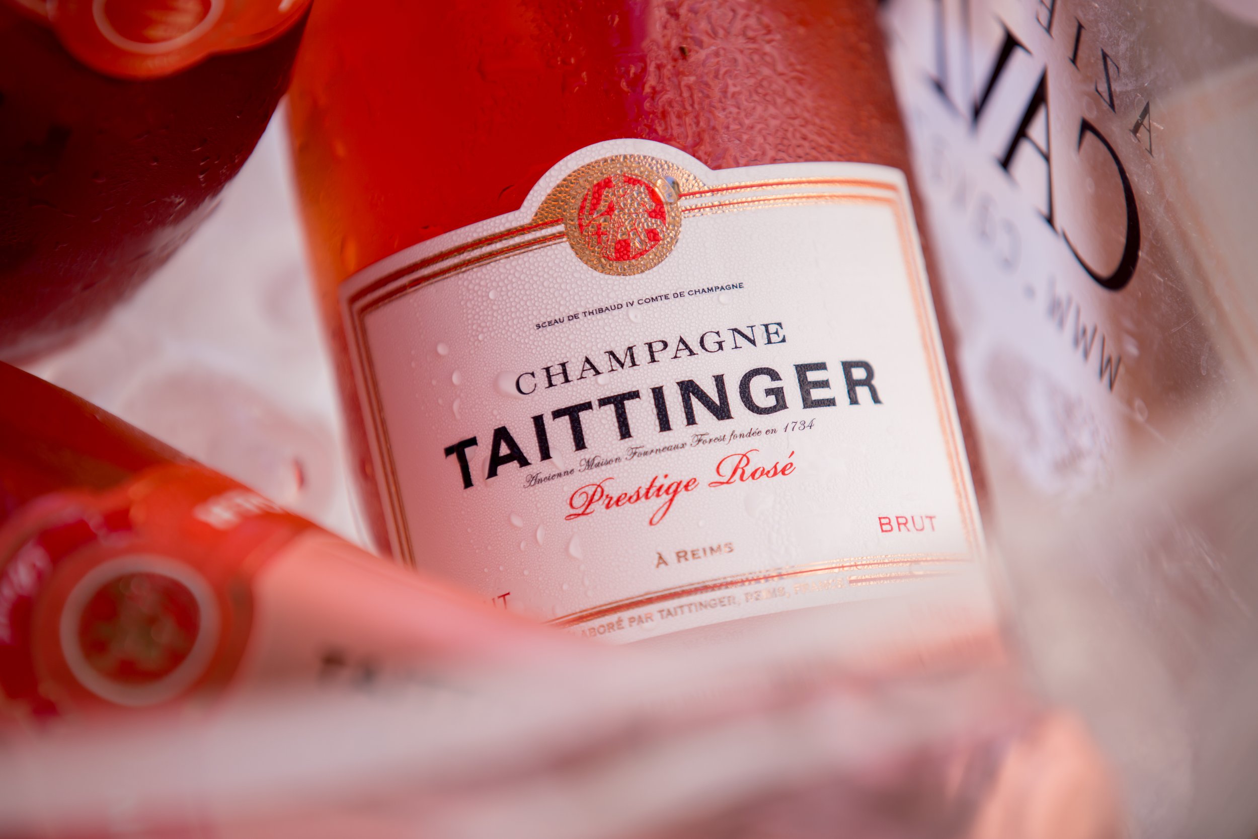 1308 - 0287- srgb.jpg