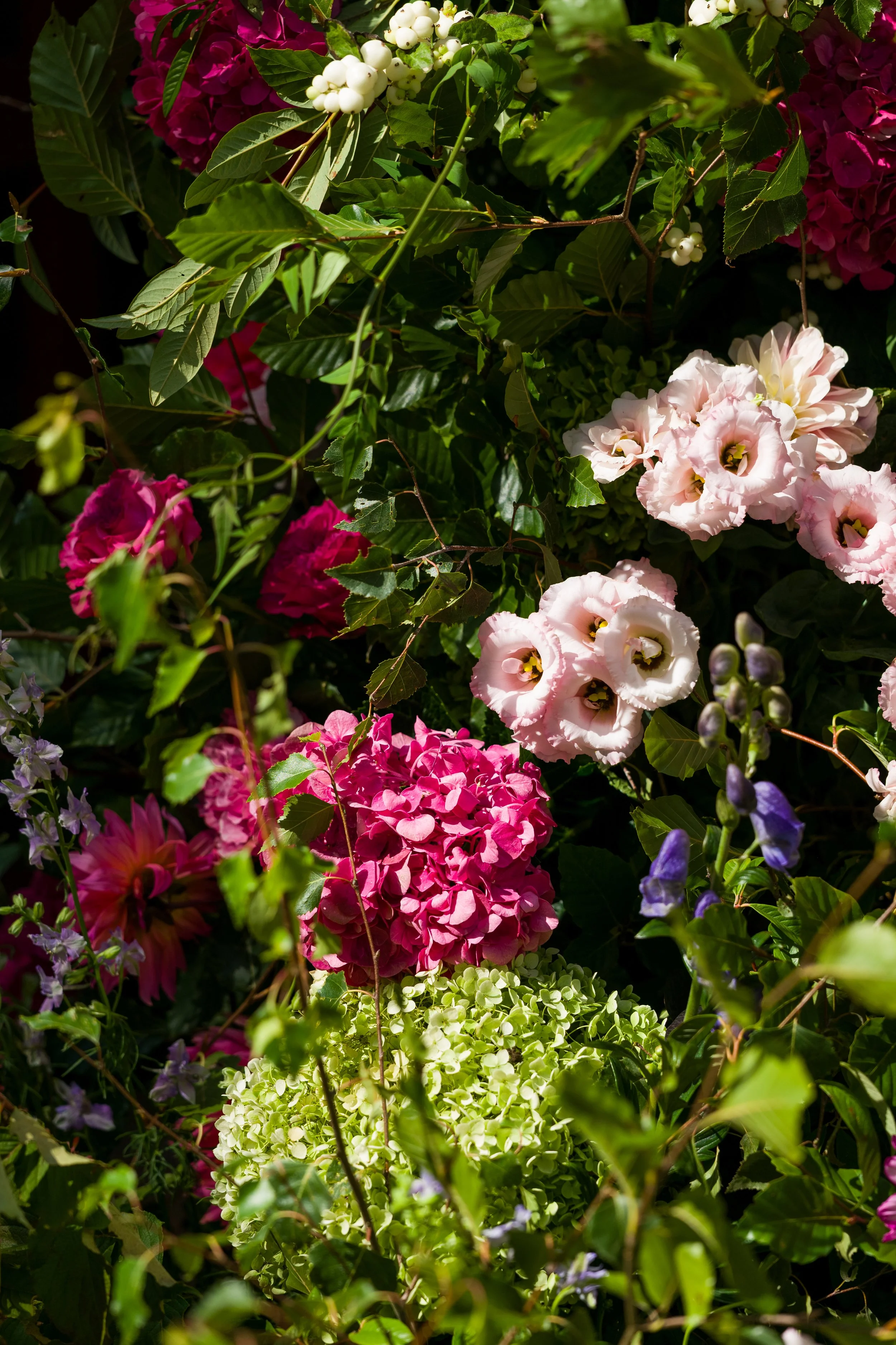 H5590--292- srgb.jpg