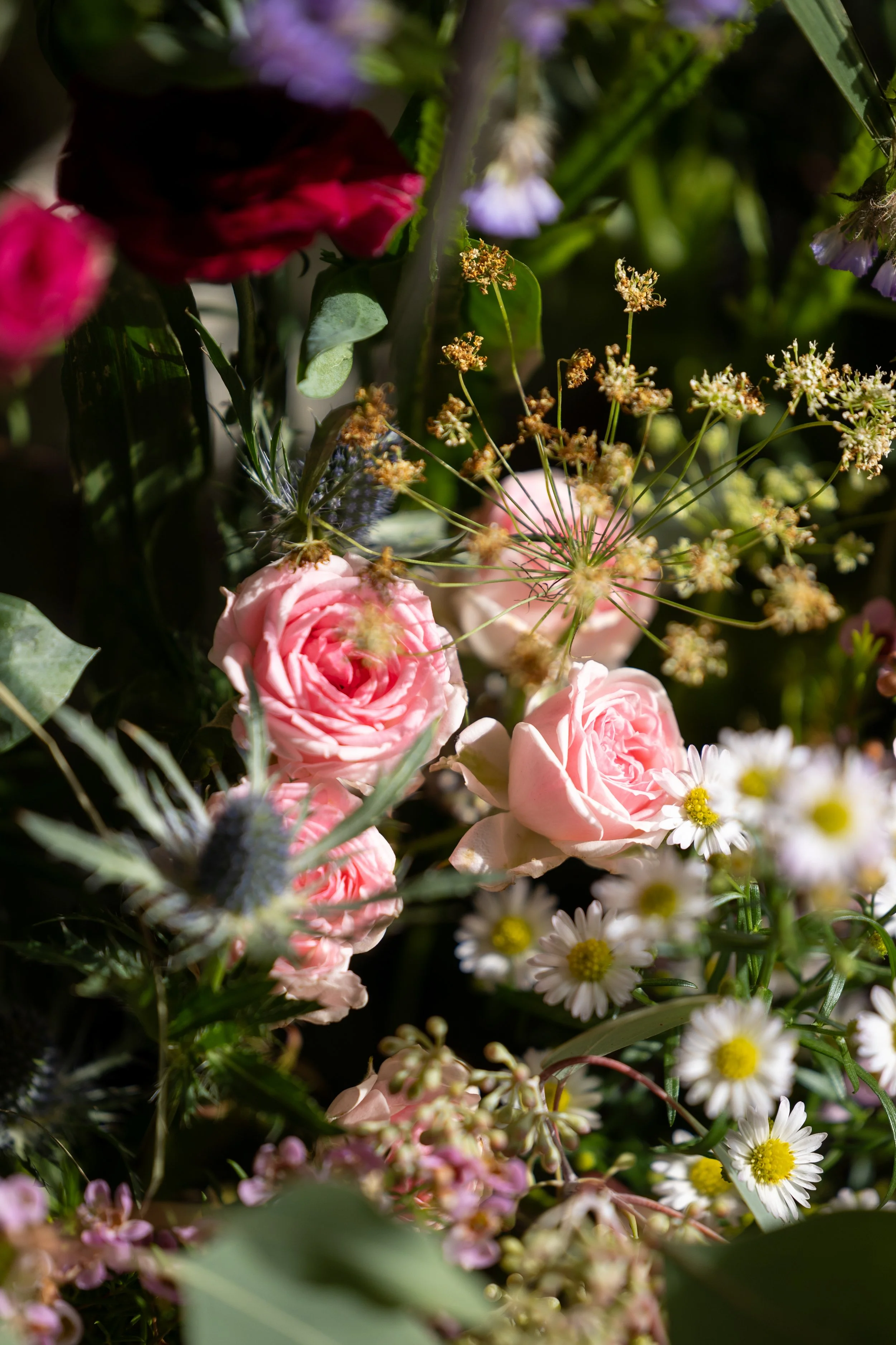 W6314-233 - SRGB- srgb.jpg