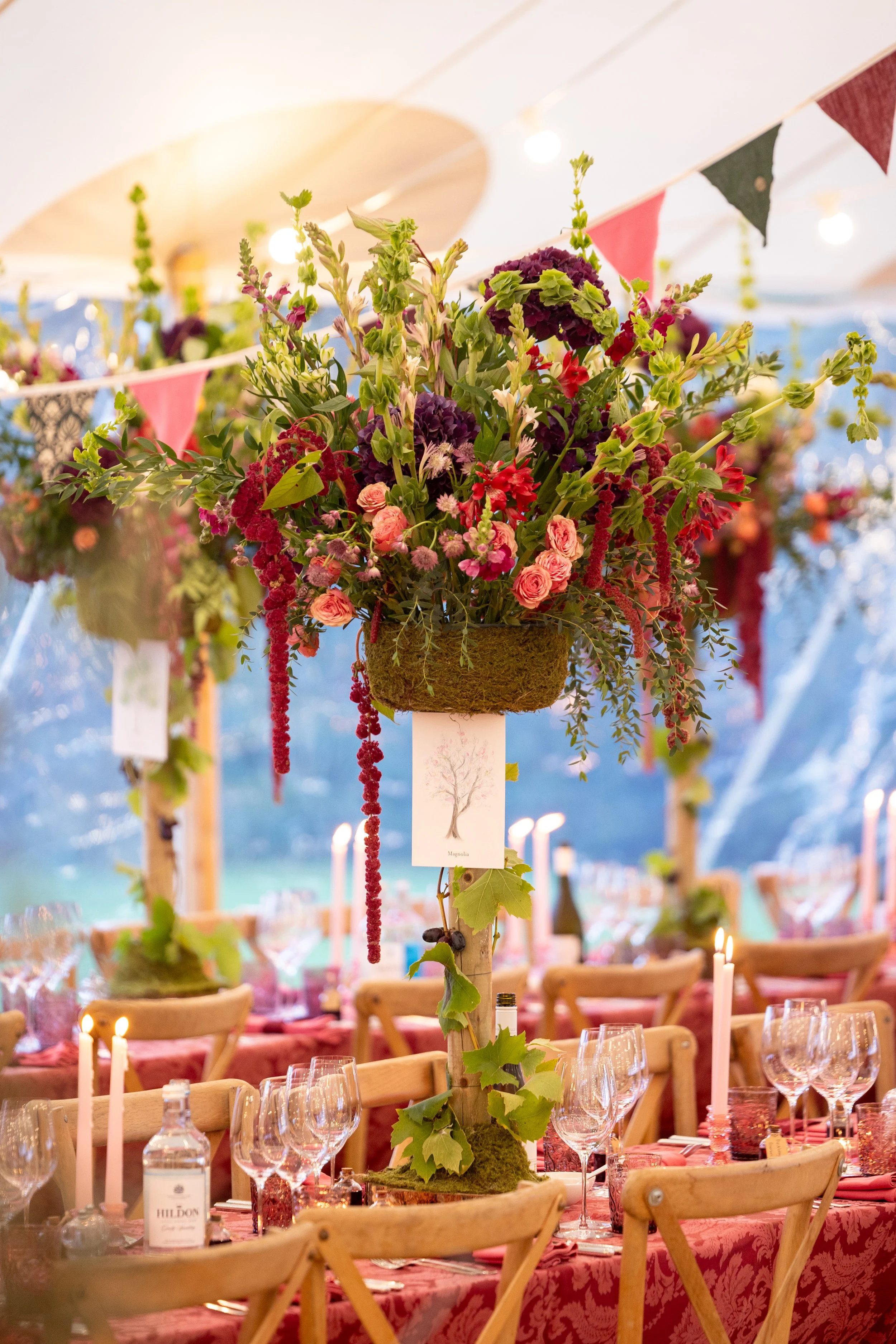 W6314-1113 - SRGB- srgb.jpg