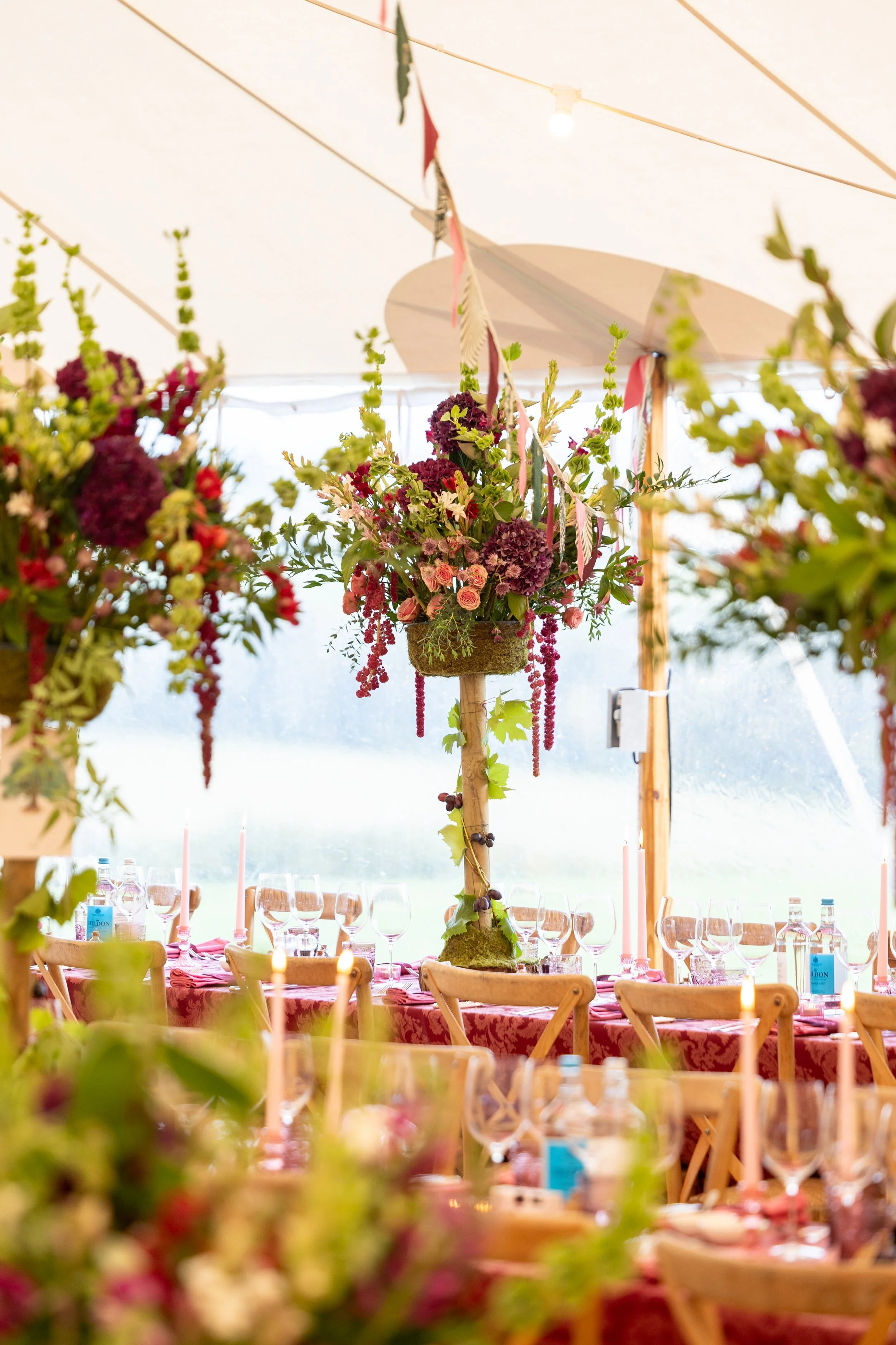 W6314-1102 - SRGB- srgb.jpg