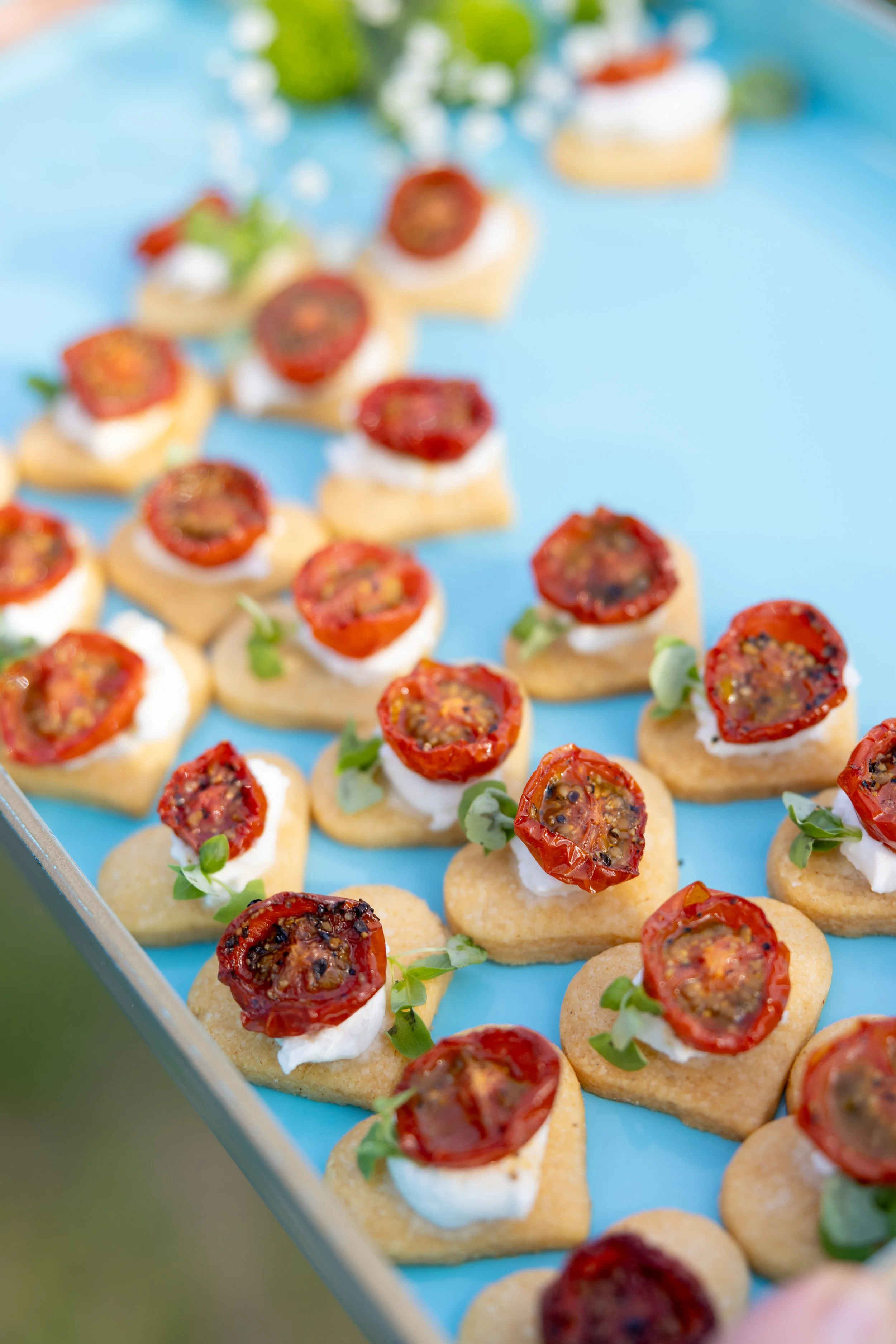 H5590--877- srgb.jpg