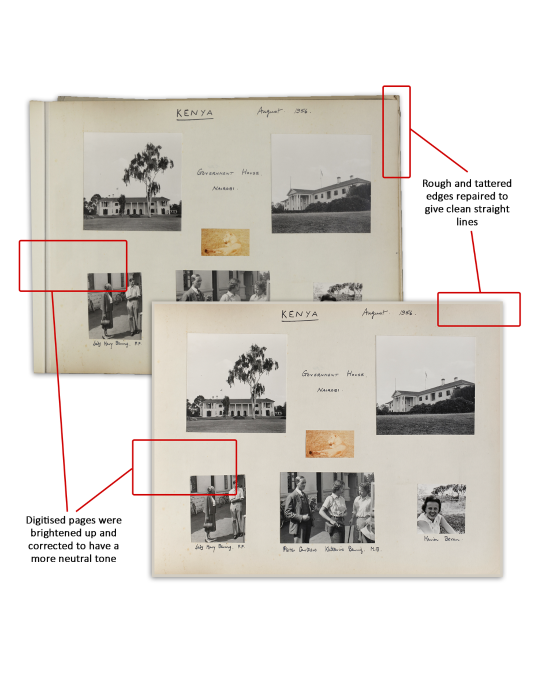 Untitled design (1).png