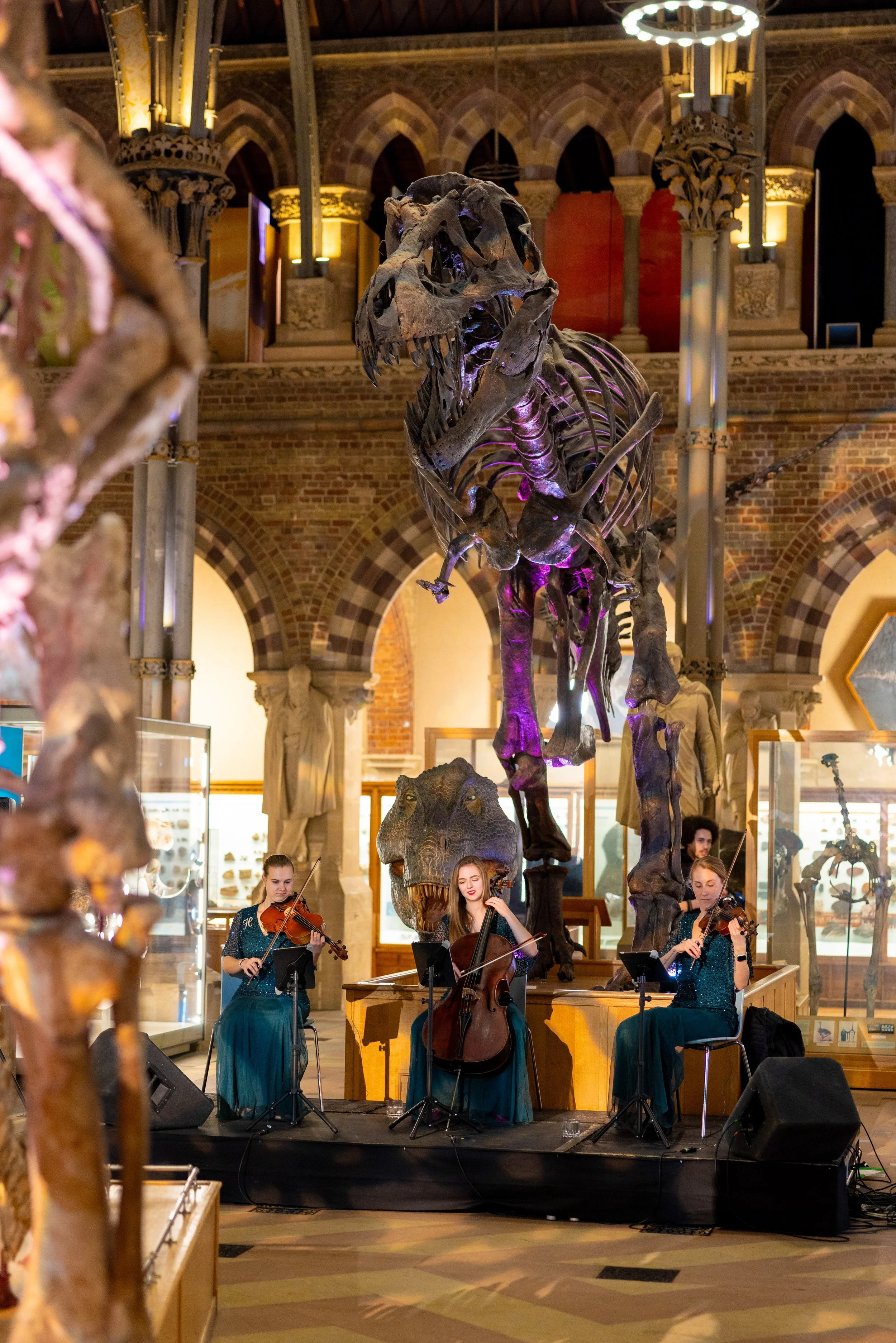 A group of three female musicians playing string instruments on a stage inside a museum with dinosaur skeletons and glass display cases.