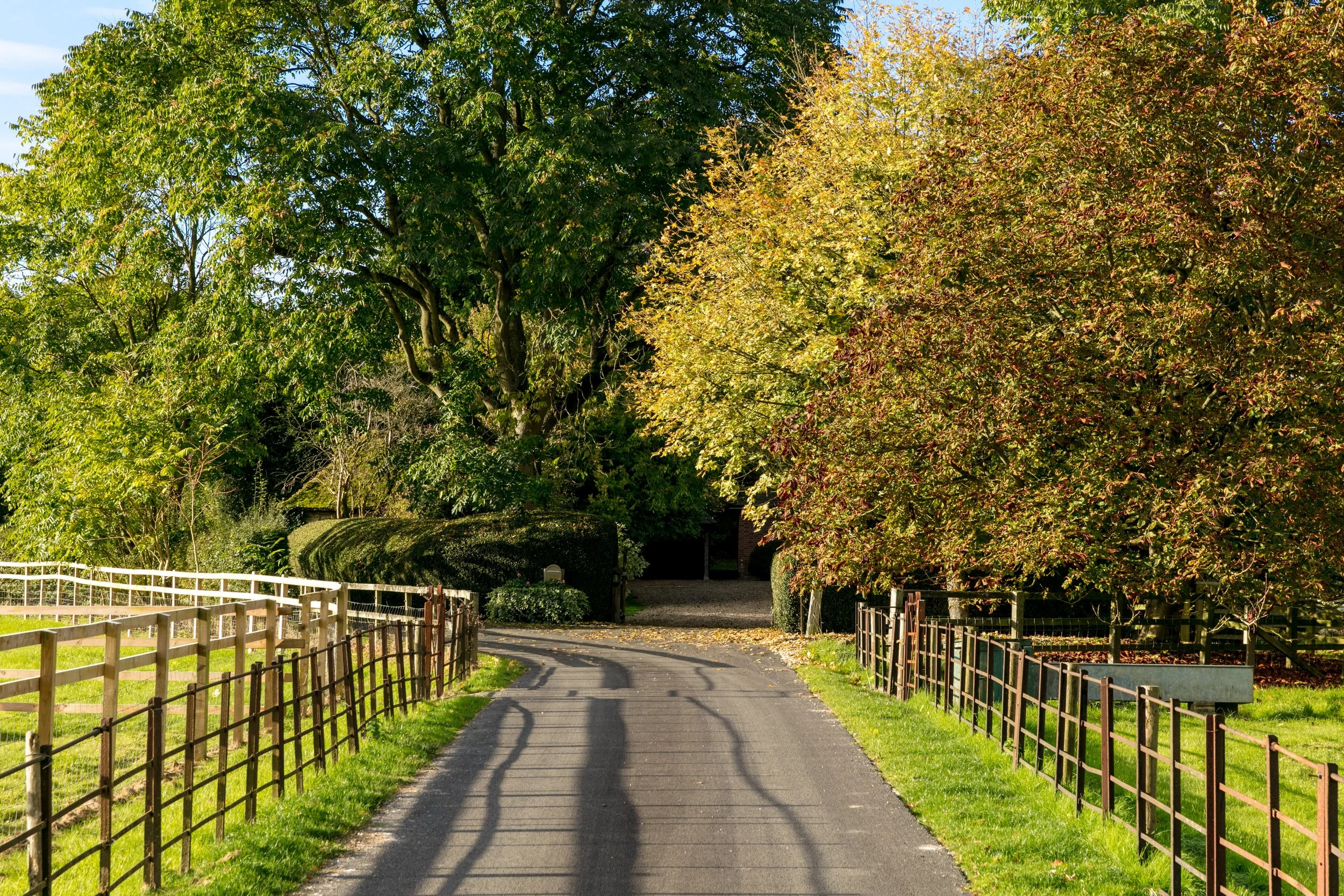 KF3387 - 032- srgb.jpg