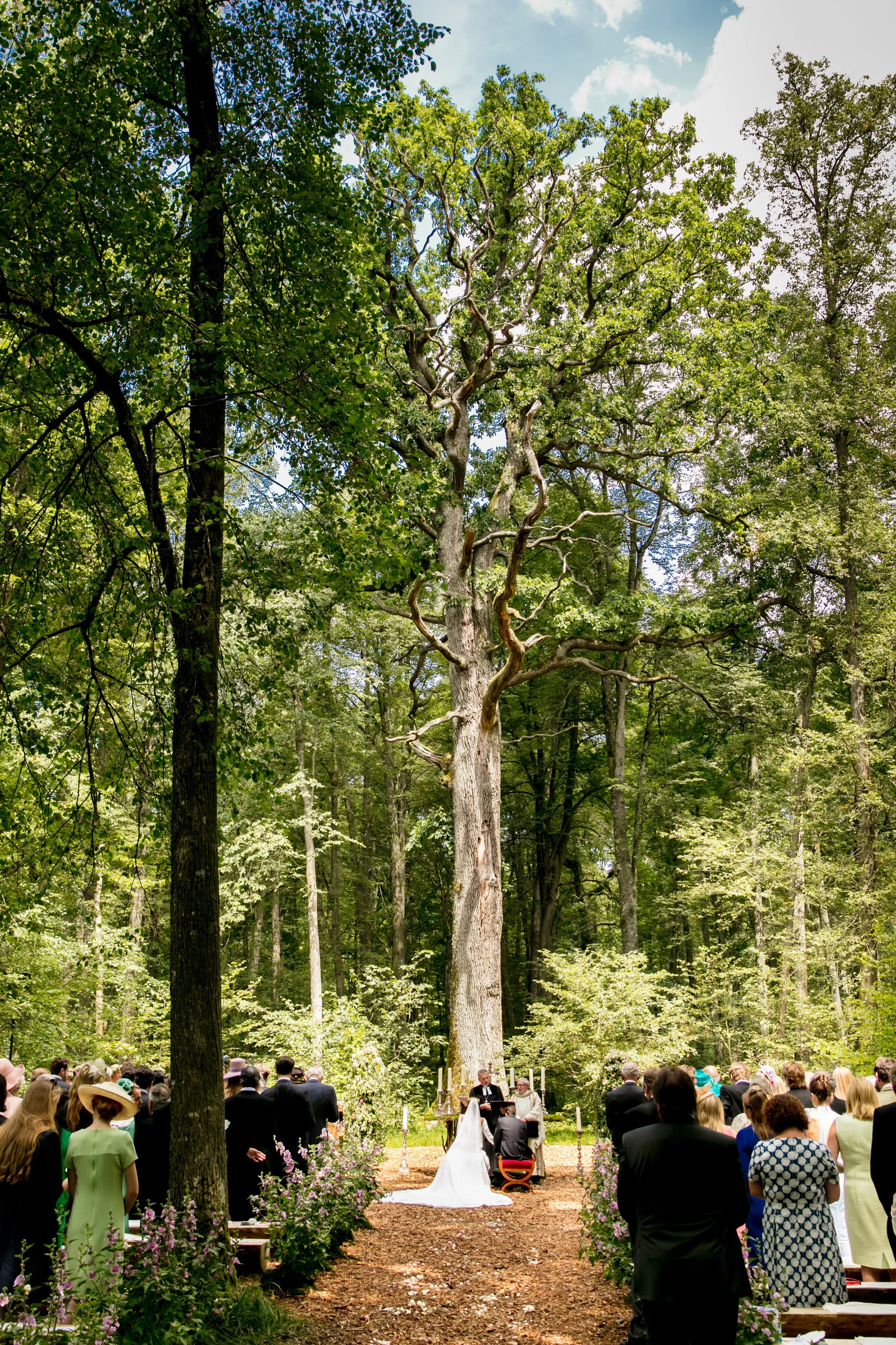 1308 - 0561a- srgb.jpg