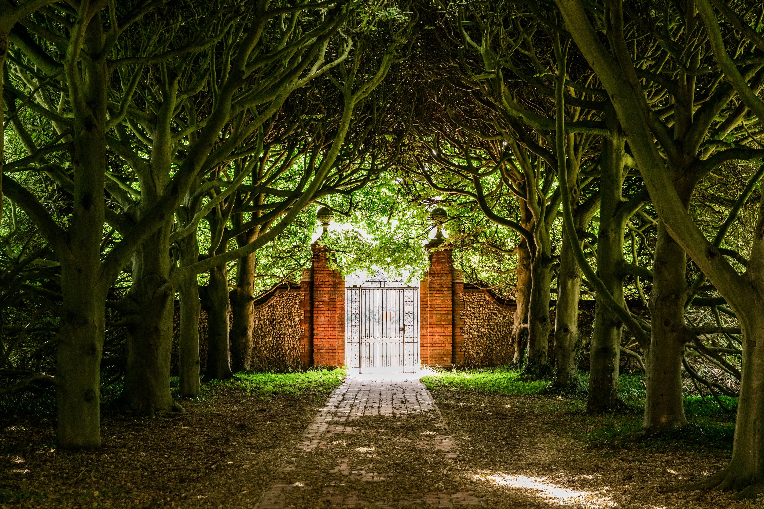 KF3106 - 044- srgb.jpg