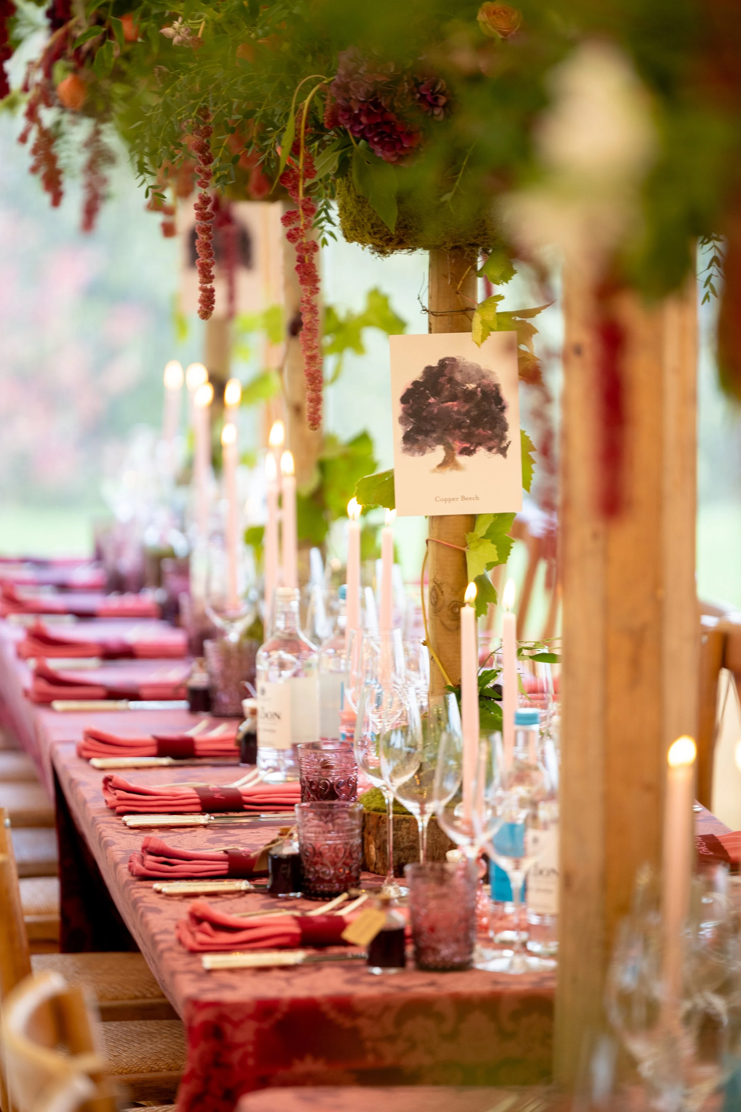 W6314-1101 - SRGB- srgb.jpg