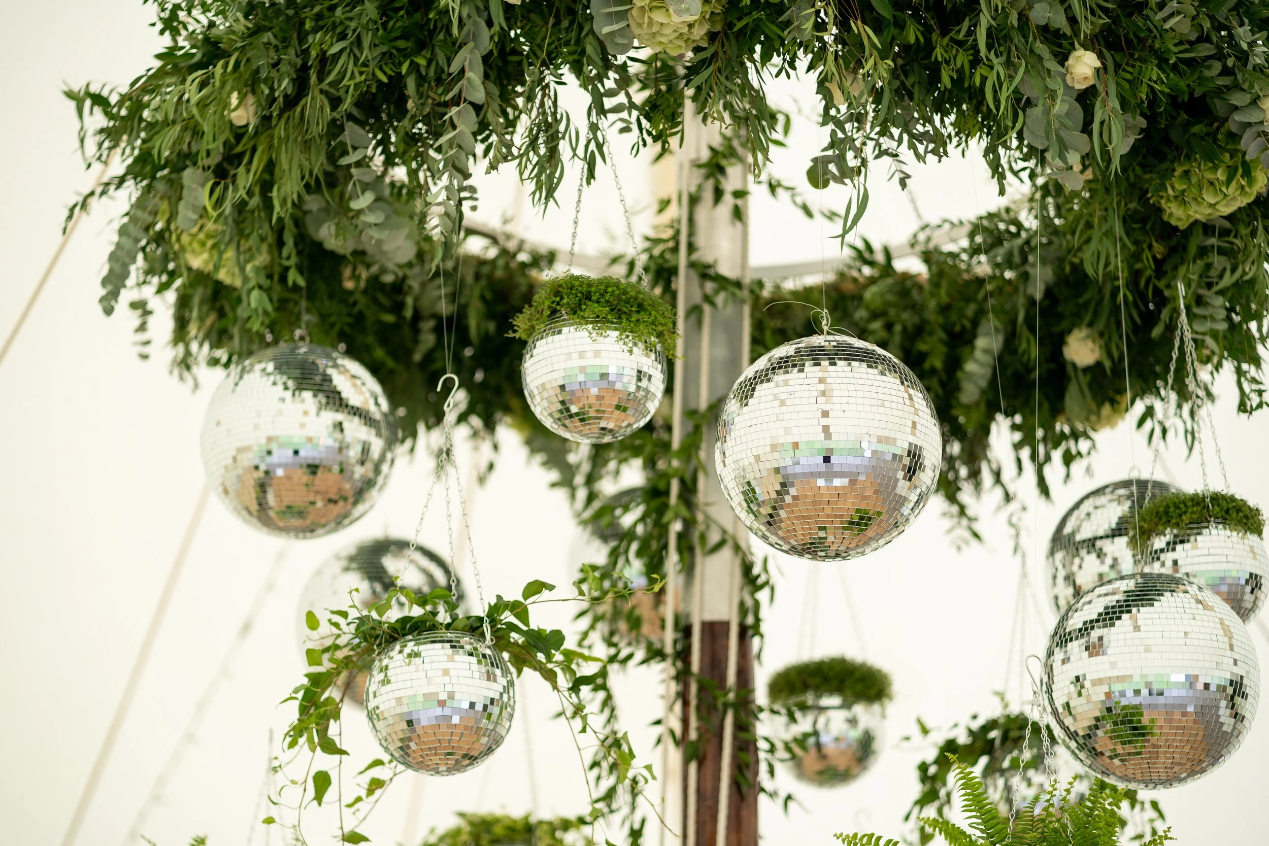 Multiple disco balls hanging from a lush green canopy with various plants and ferns.