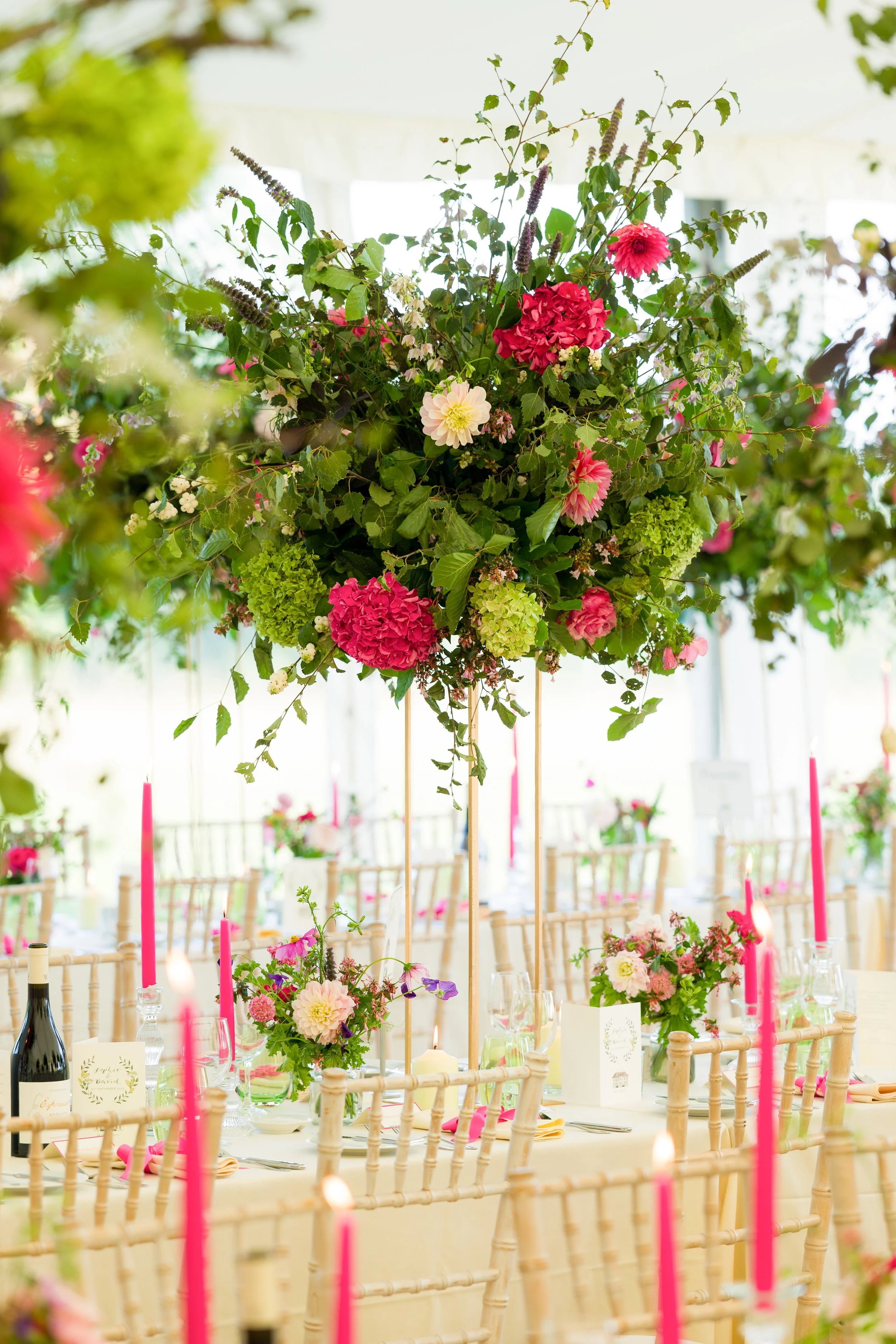 H5590--1265- srgb.jpg