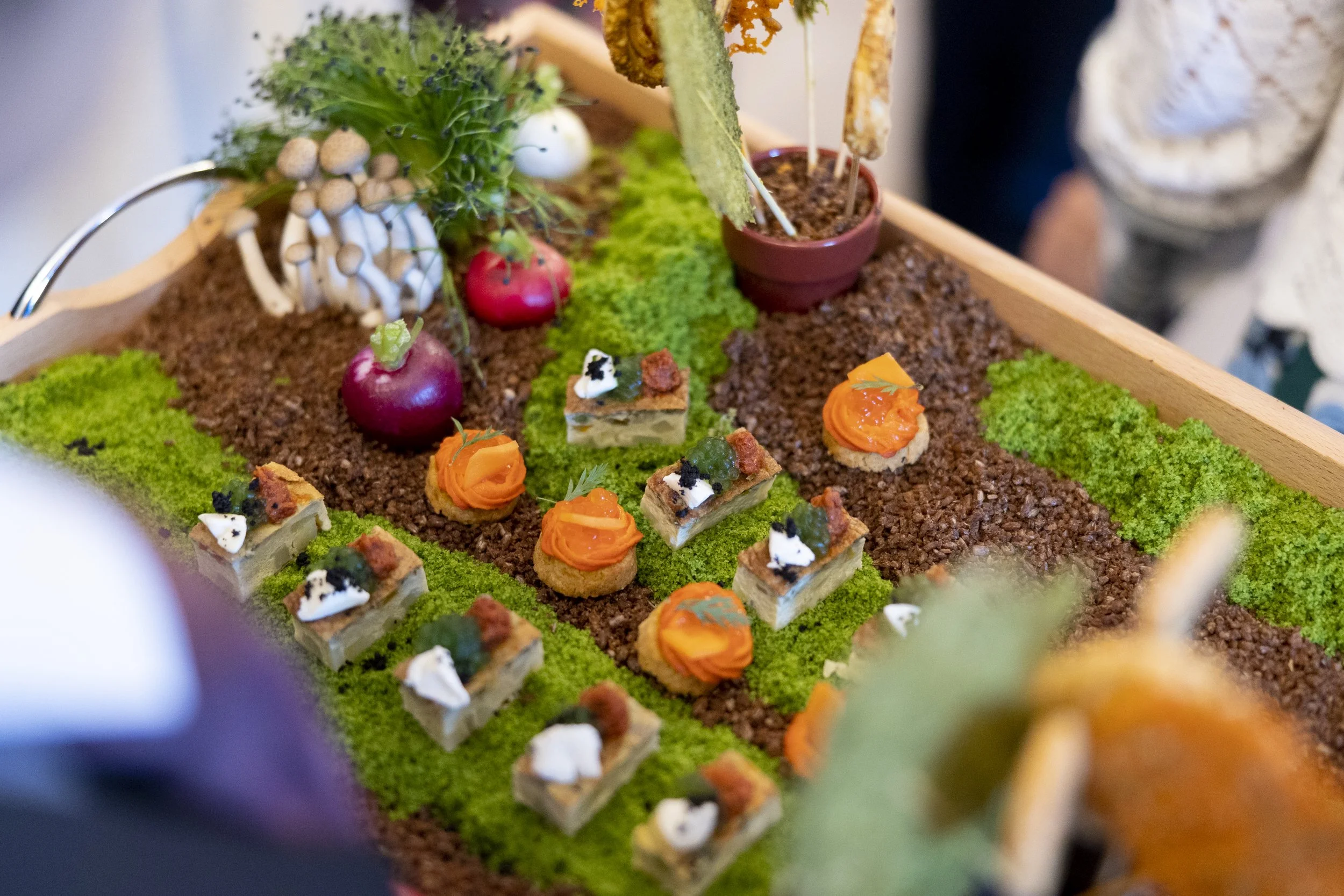 A display of miniature food items on a textured surface resembling soil or grass, with small vegetables, plants, and decorative elements. The scene includes tiny orange-topped bites, small sliced items, and miniature vegetables, all arranged artistic