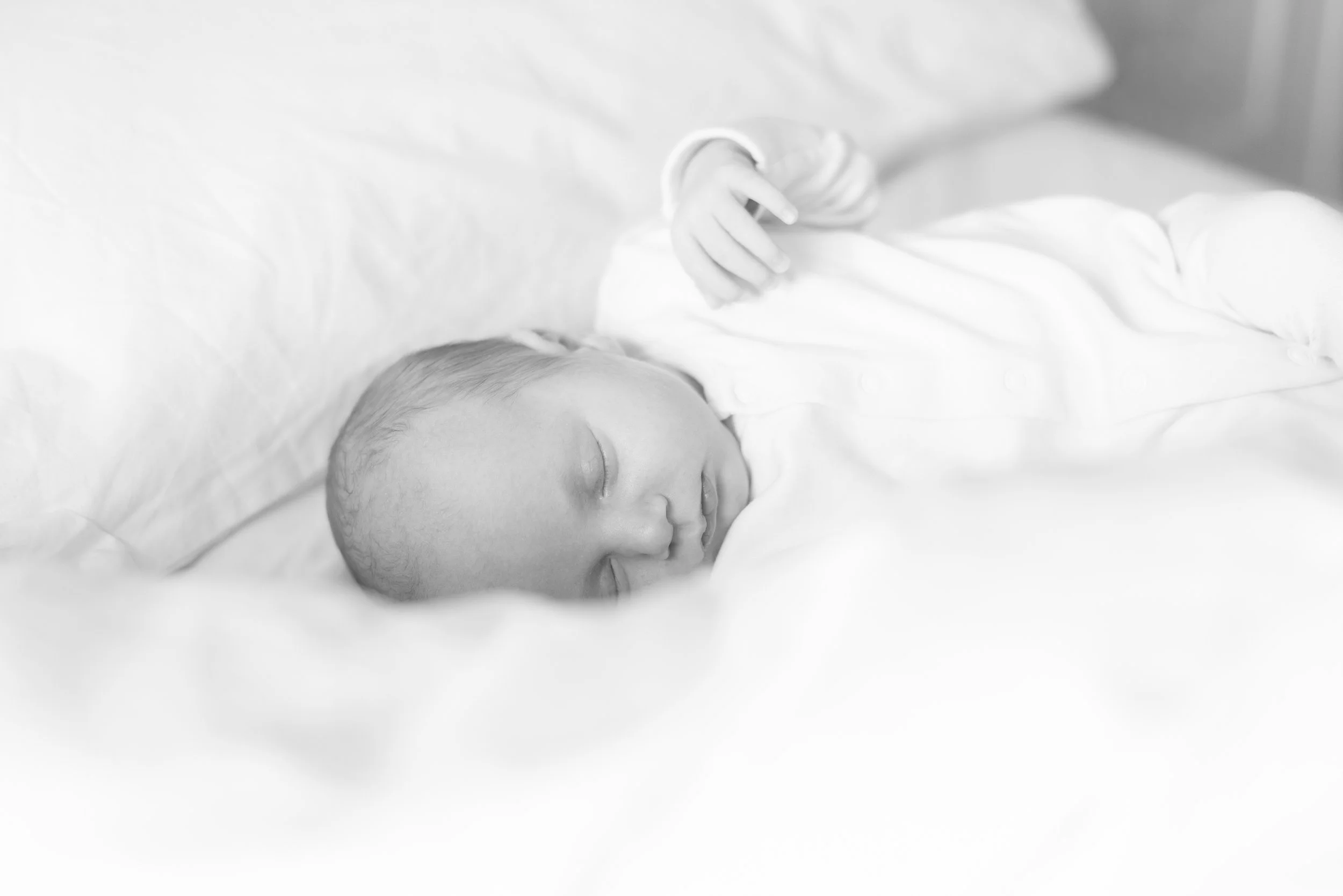 W6314-76 - SRGB- srgb.jpg