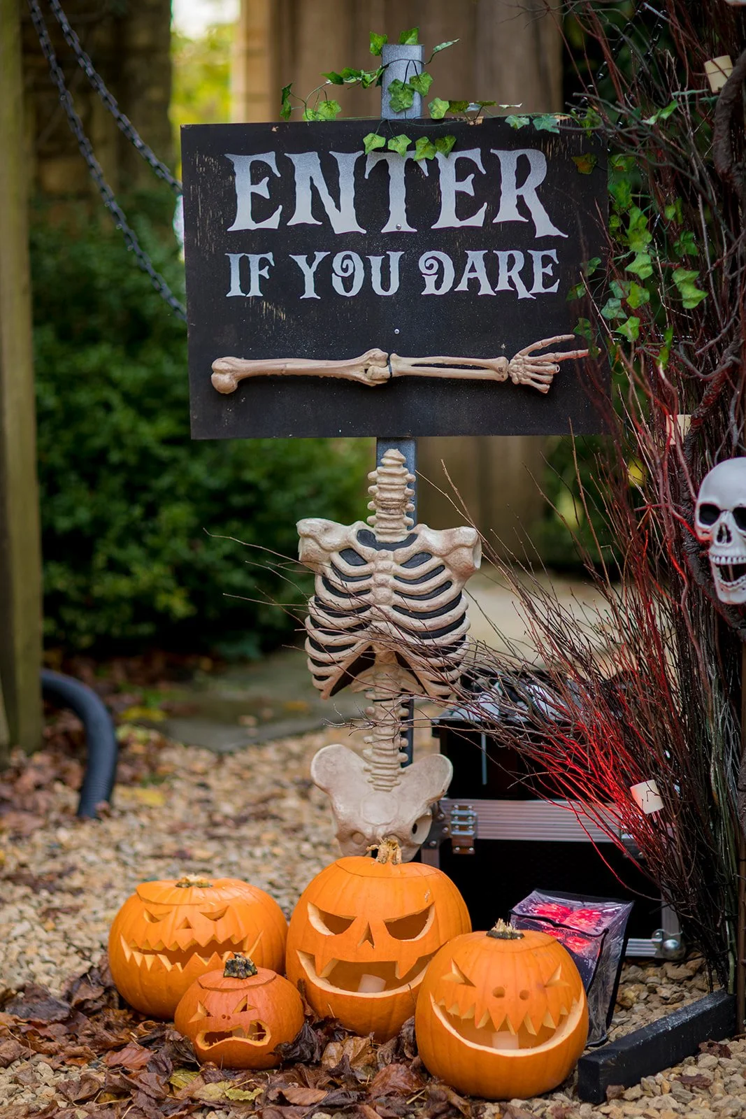 Halloween display with a sign saying 'Enter if you dare', decorated with a plastic skeleton arm and ribcage, along with carved pumpkins and skulls.