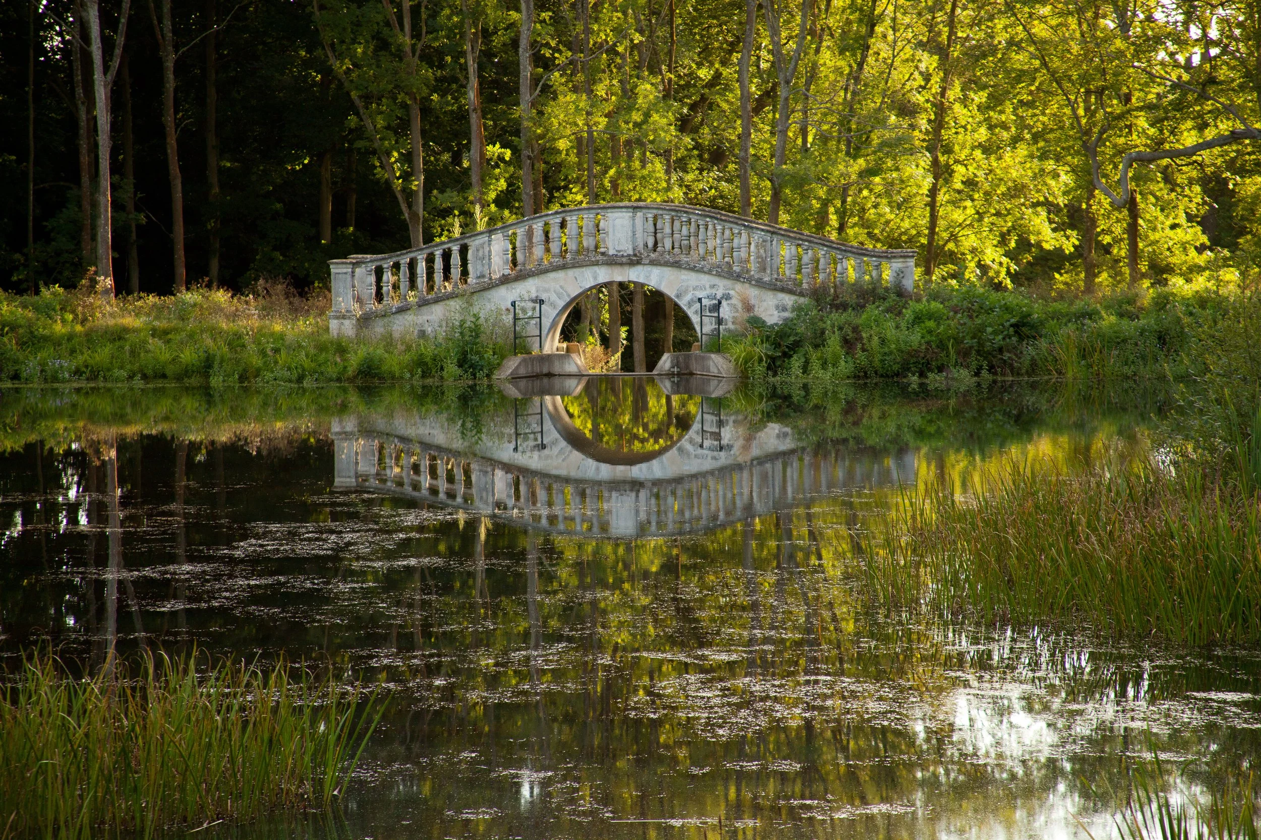 KF38621_109- srgb.jpg