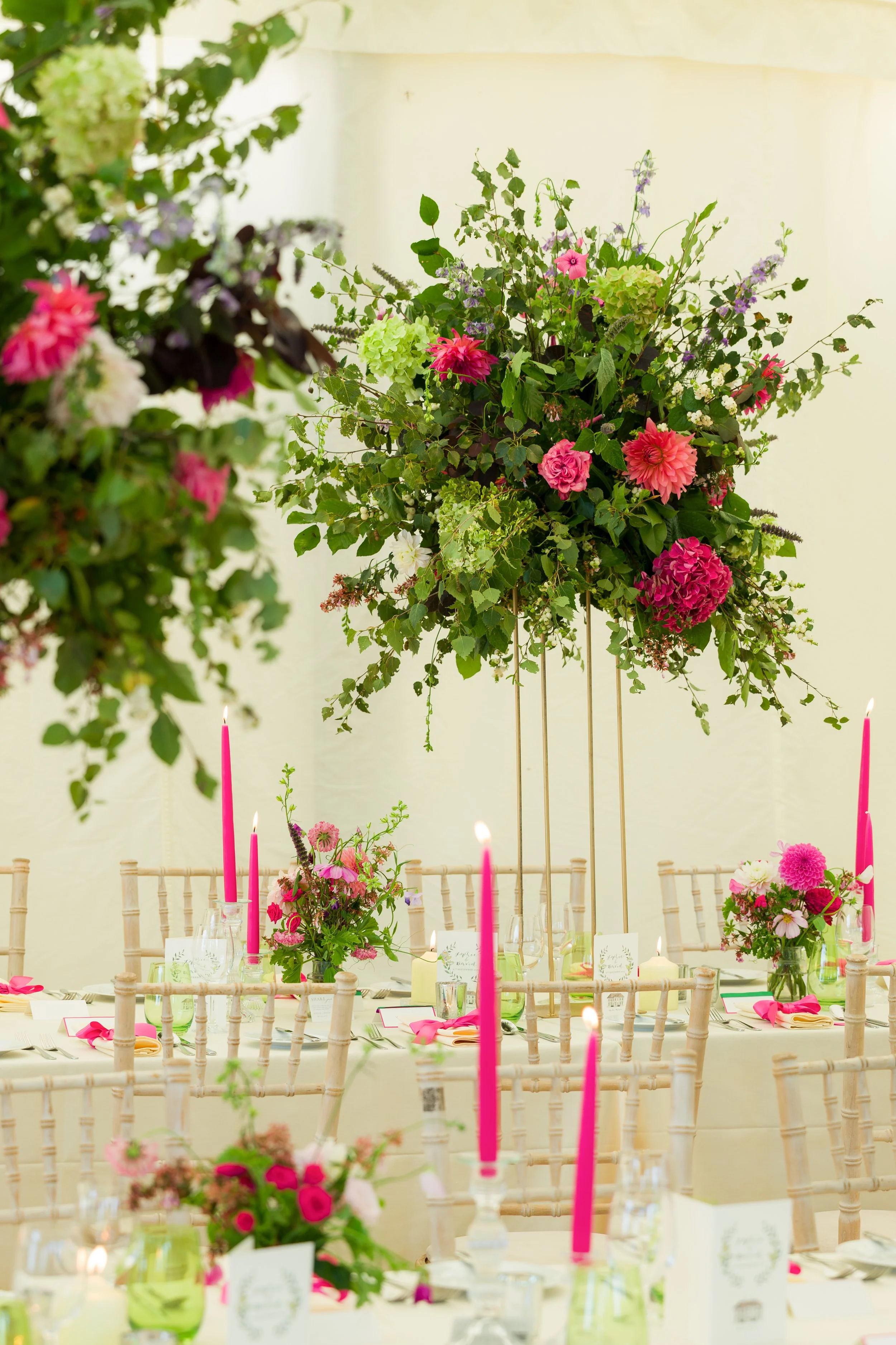 H5590--1229- srgb.jpg