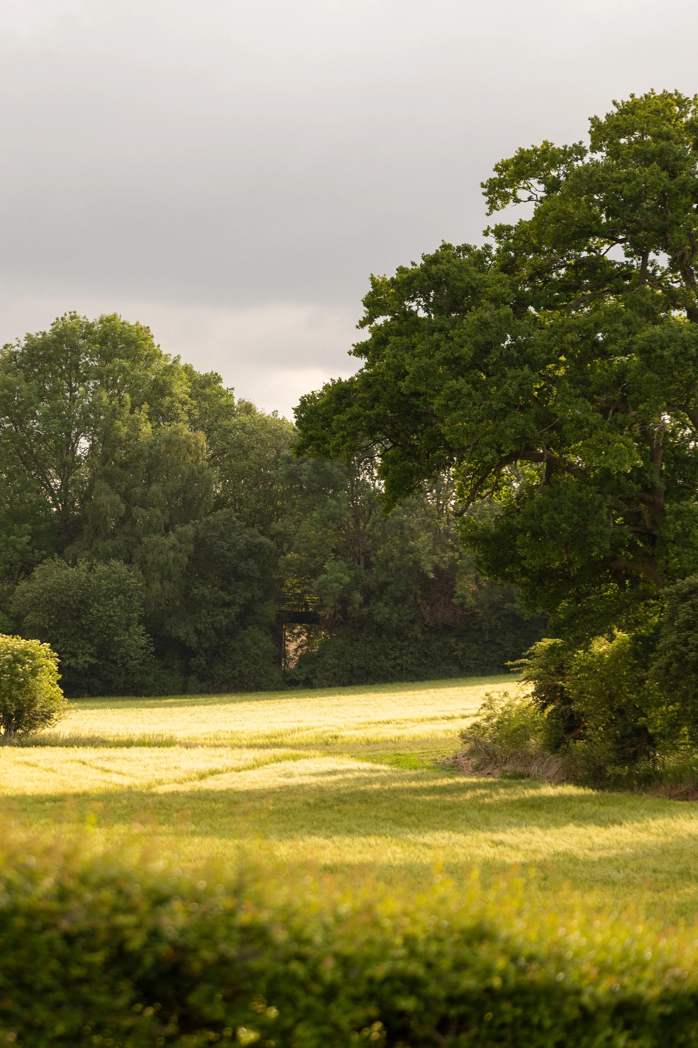 S5881-996-2- srgb.jpg