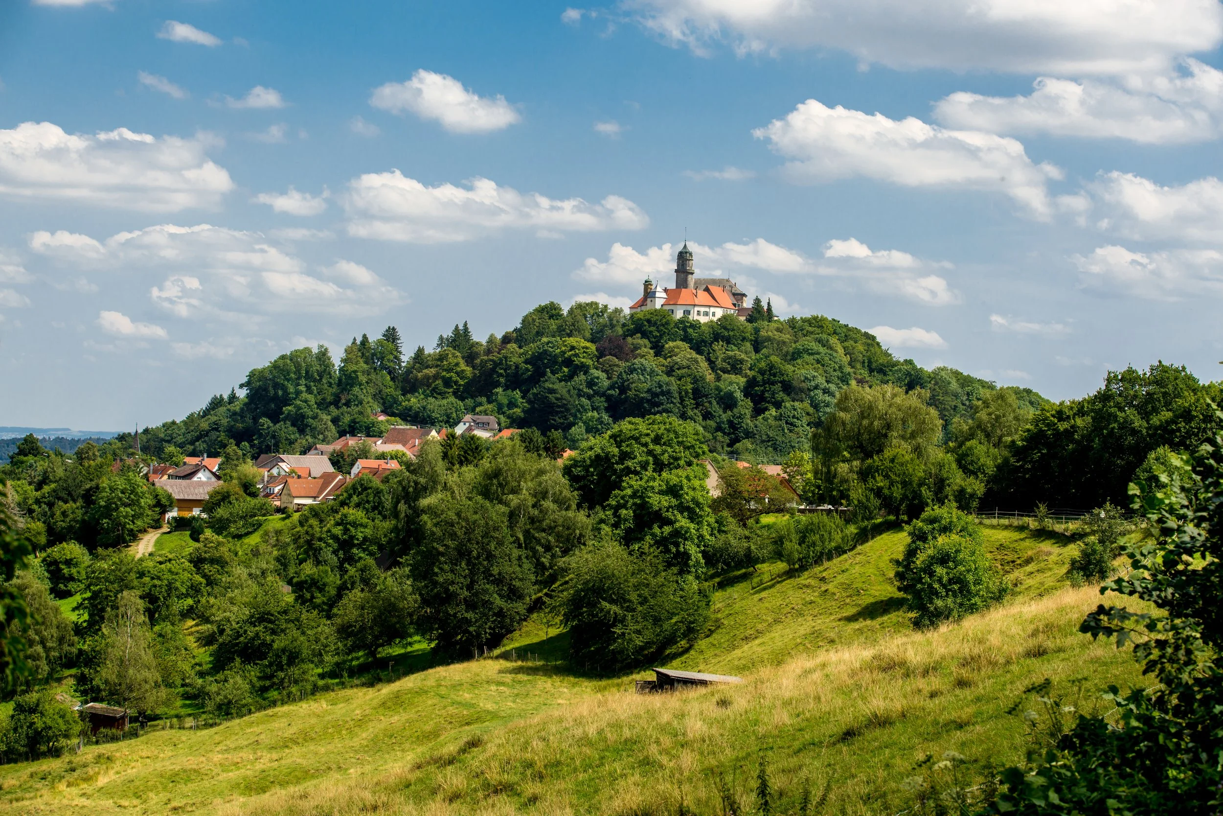 1308 - 1074- srgb.jpg