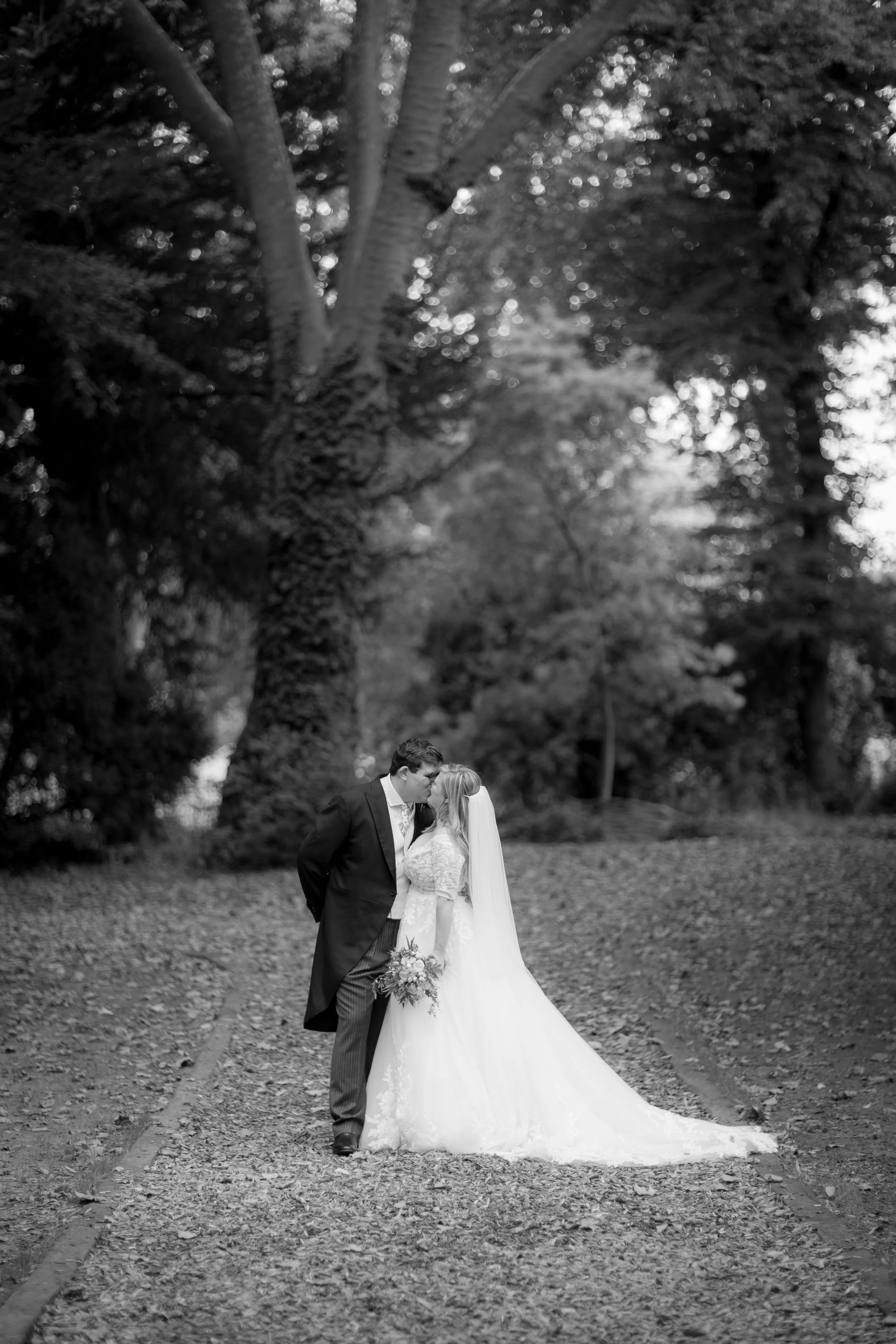 W2896-507-2- srgb.jpg