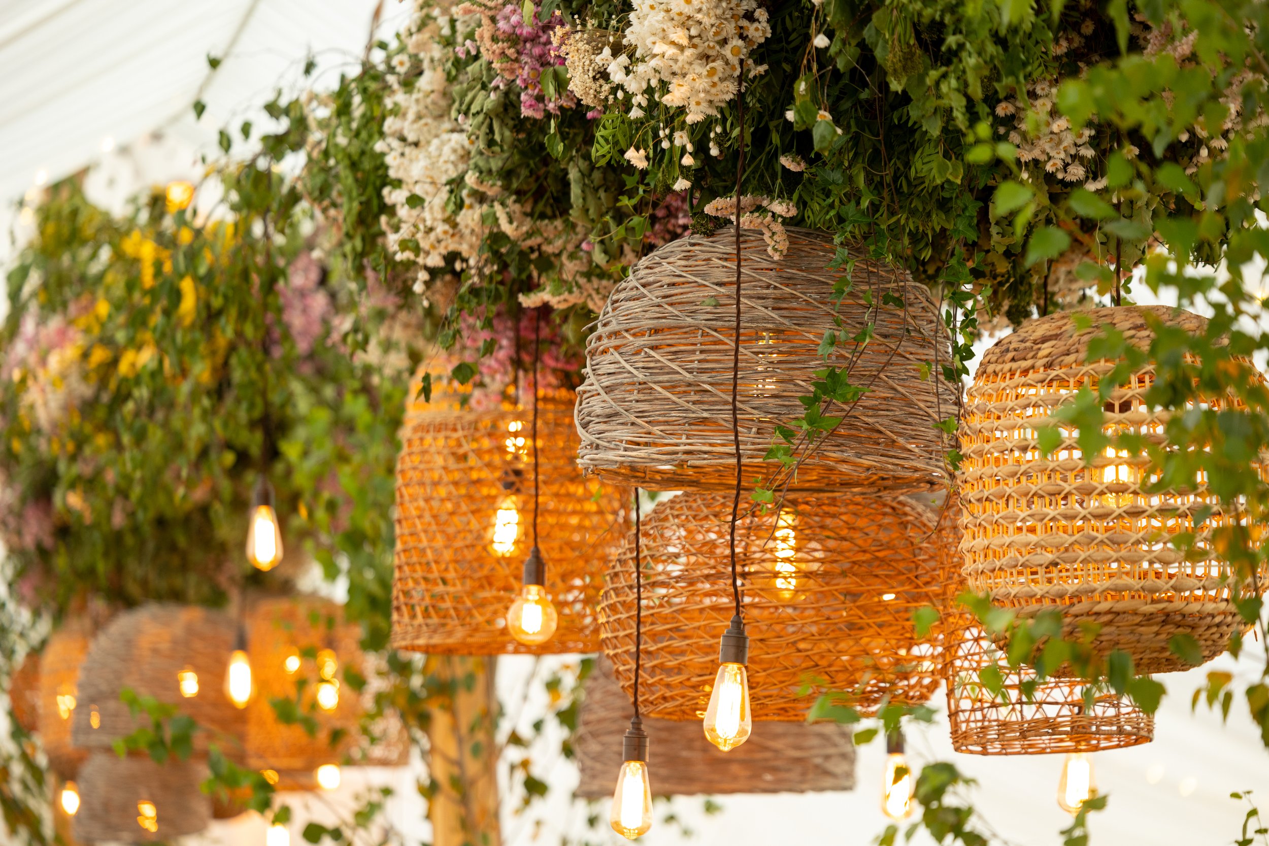 M3538-1155- srgb.jpg