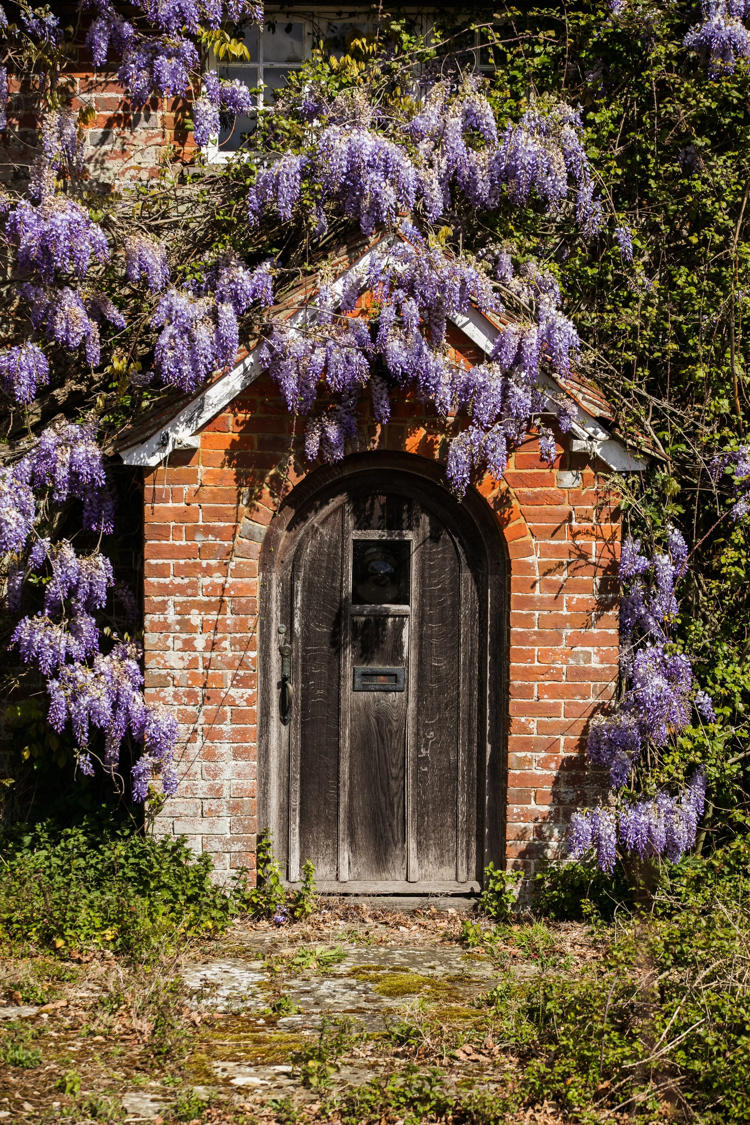 C4088 - 149- srgb.jpg