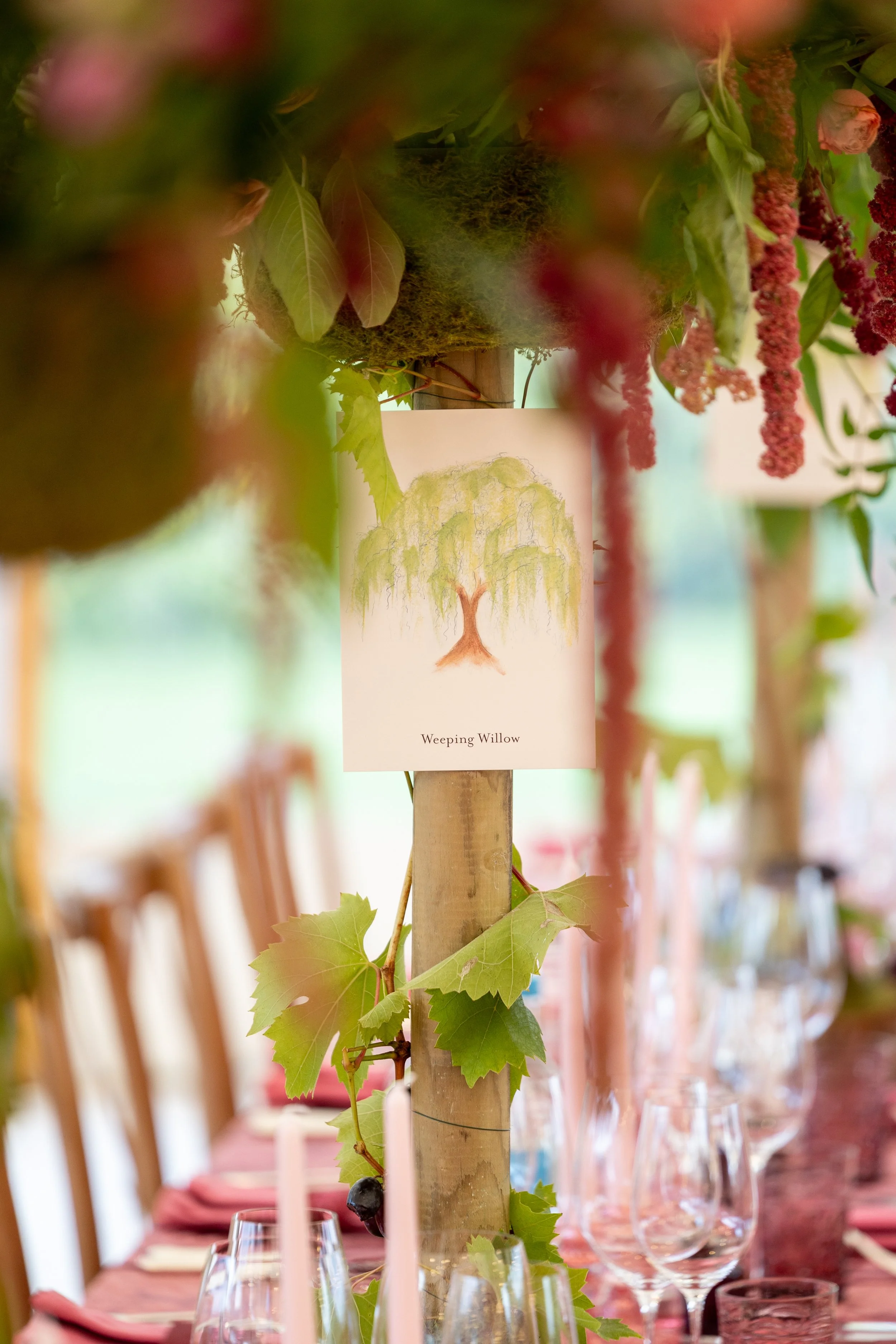 W6314-1084 - SRGB- srgb.jpg