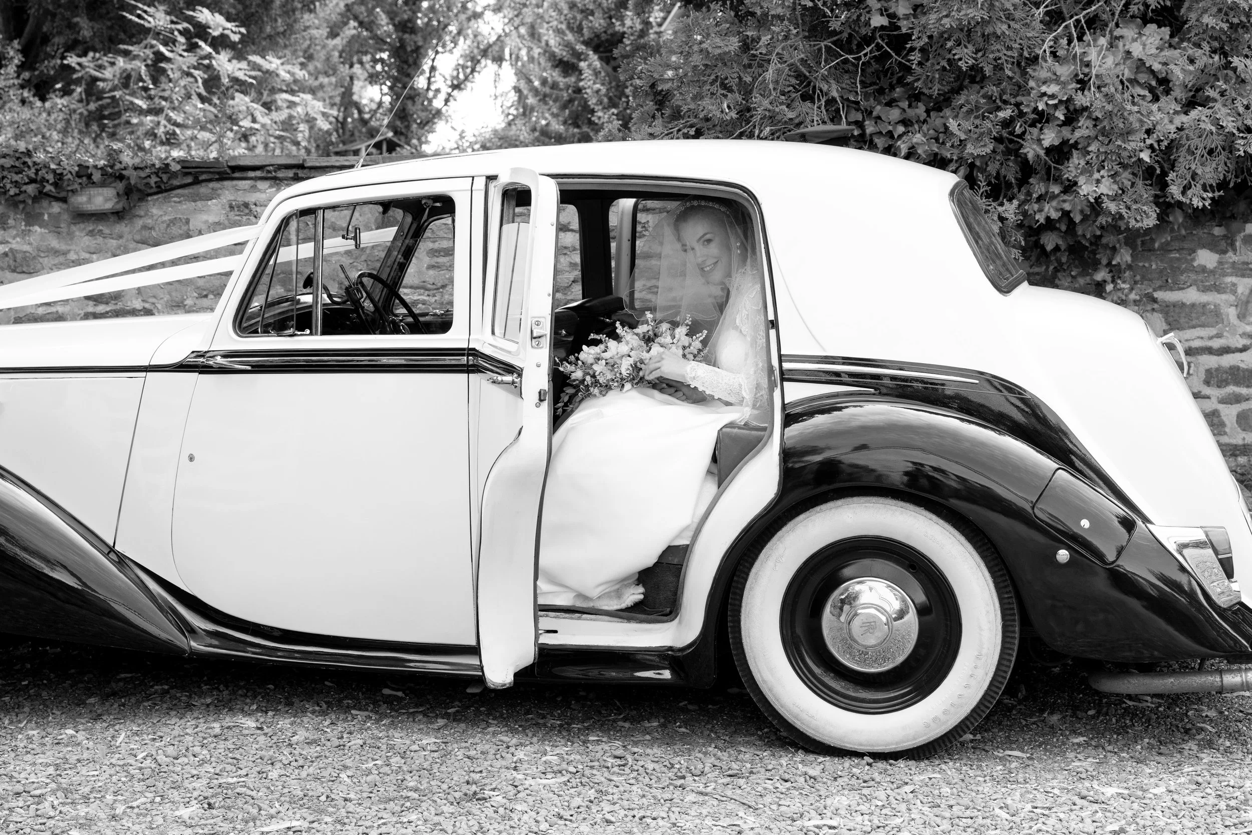 C3235-248-2- srgb.jpg