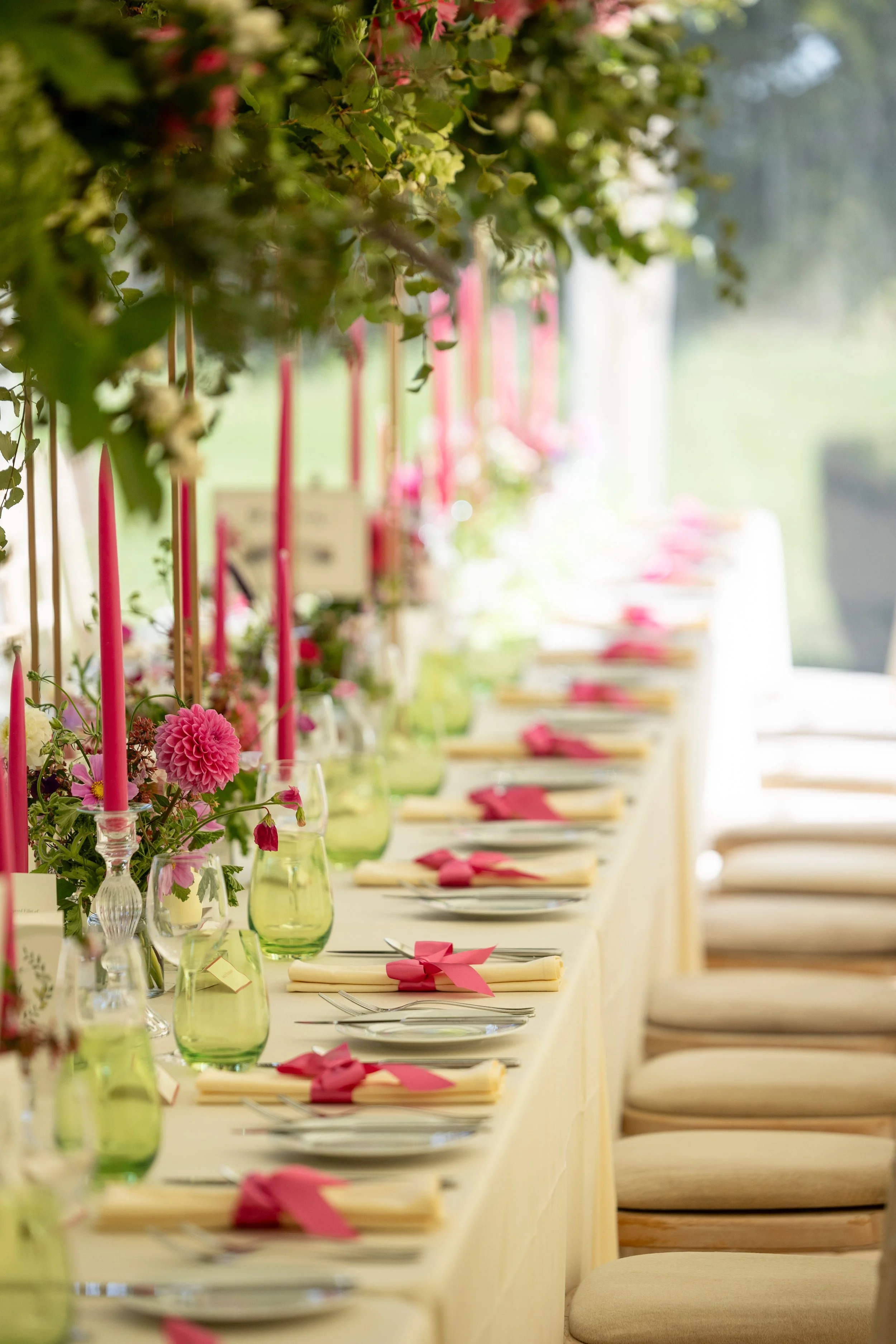 H5590--1220- srgb.jpg