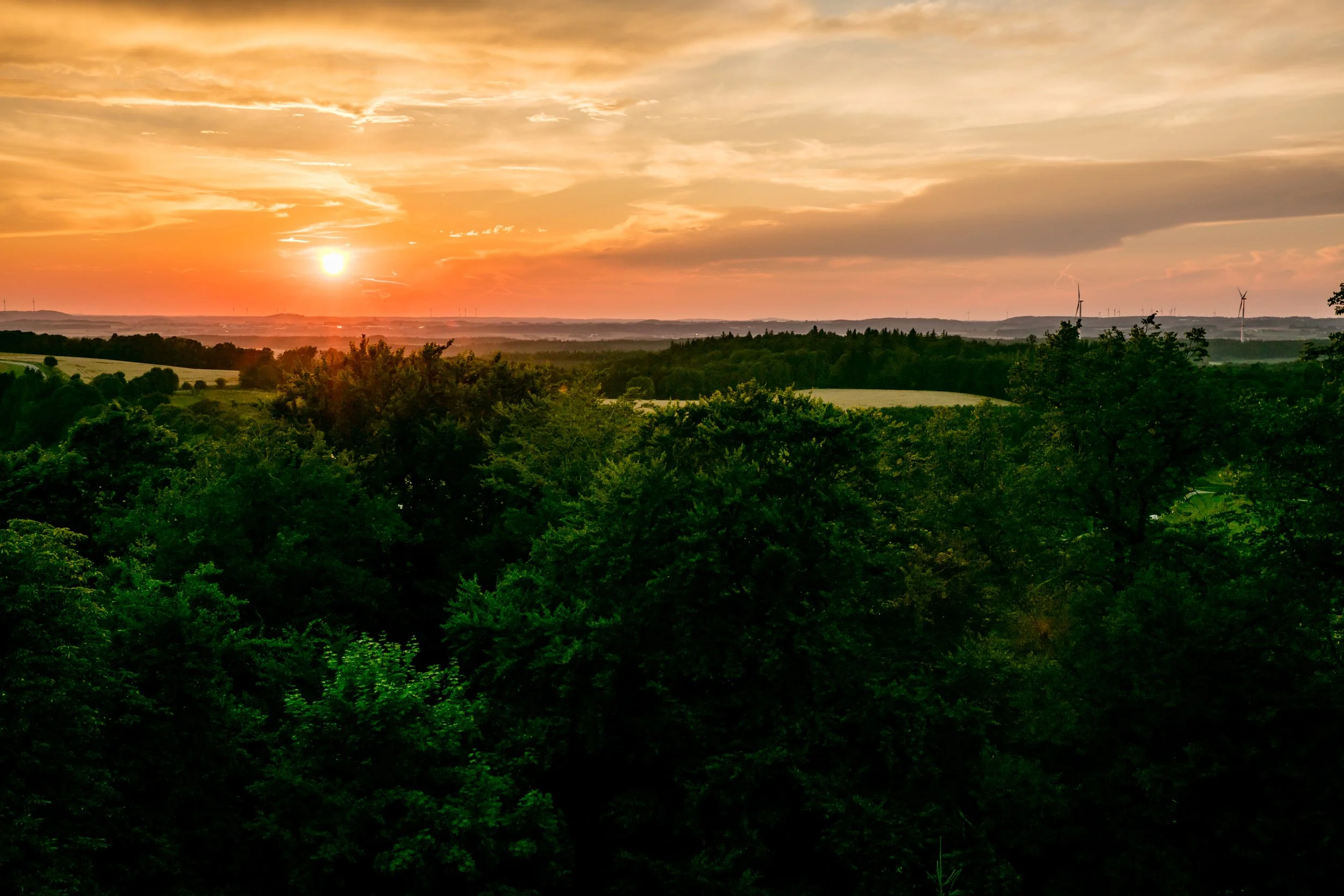 1308 - 1190- srgb.jpg