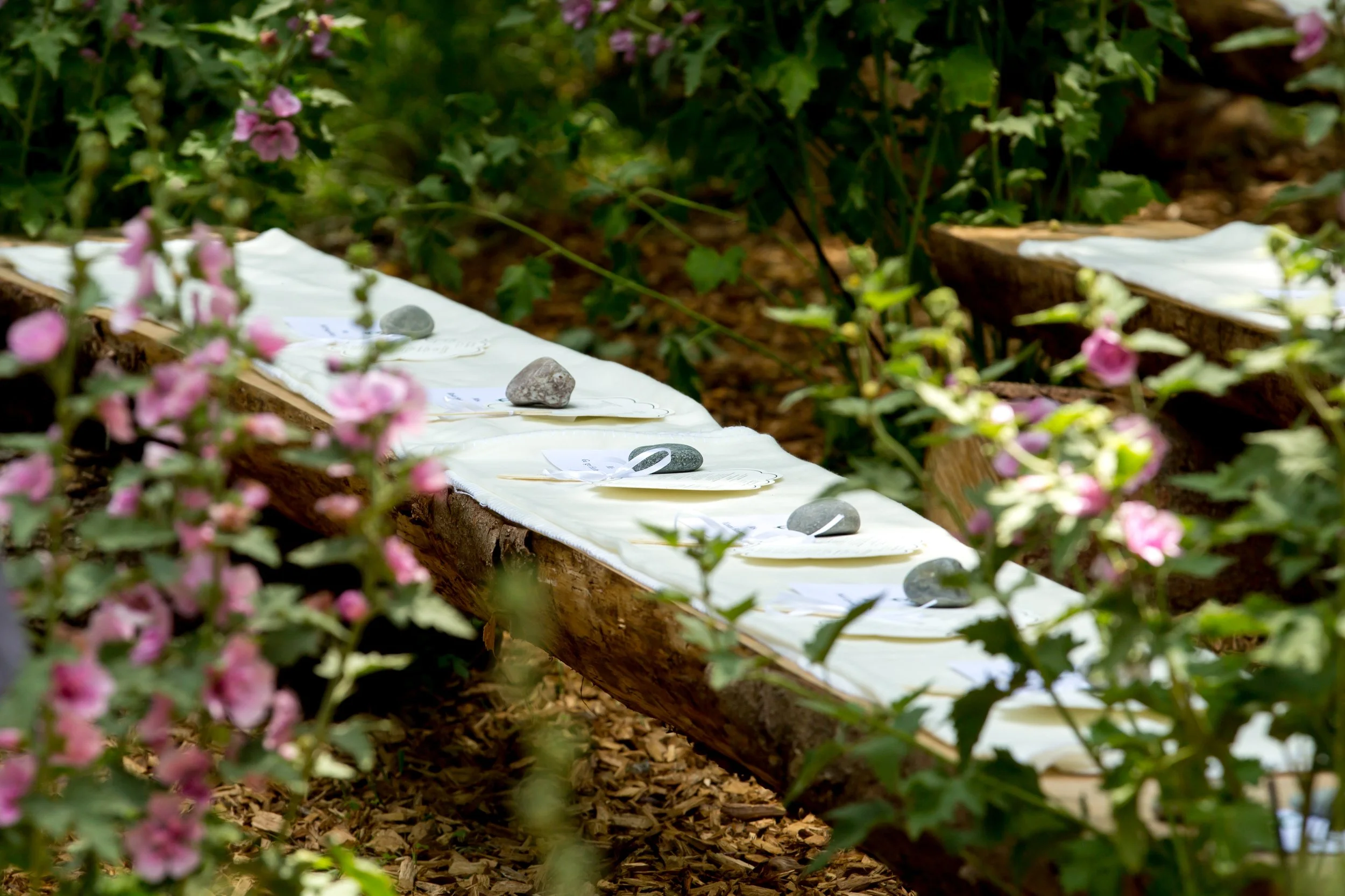 1308 - 0423- srgb.jpg