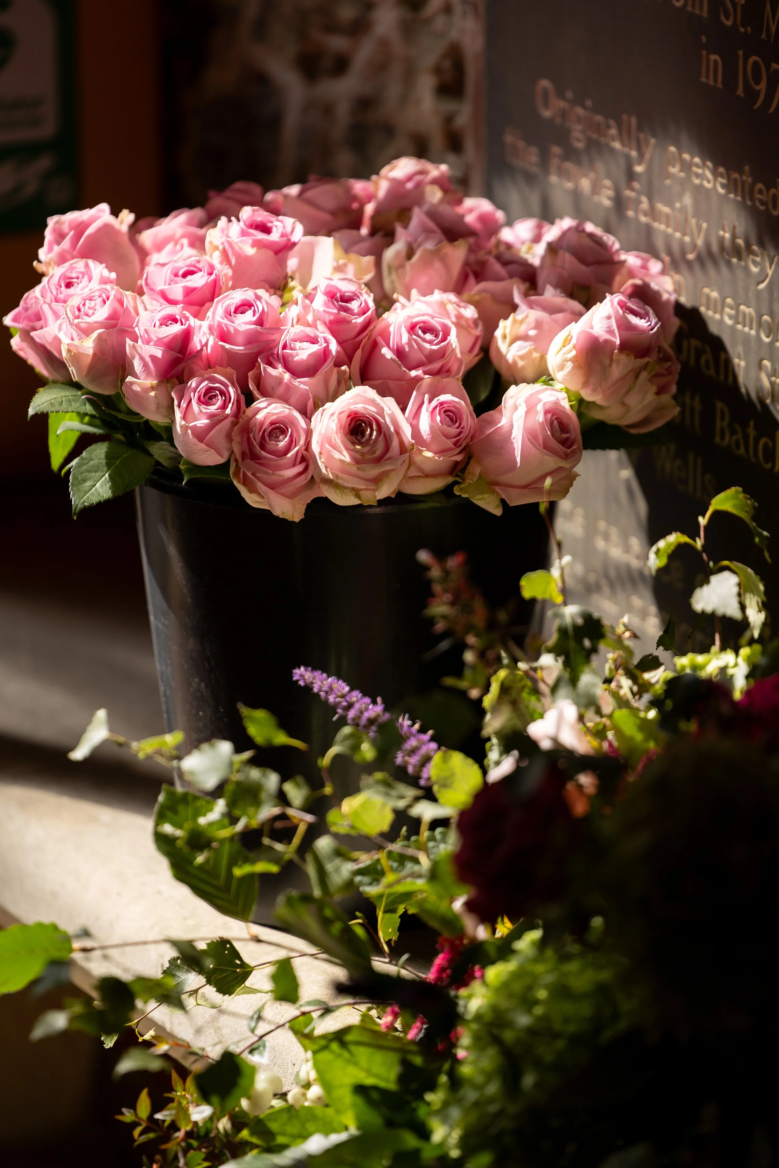 H5590--235- srgb.jpg