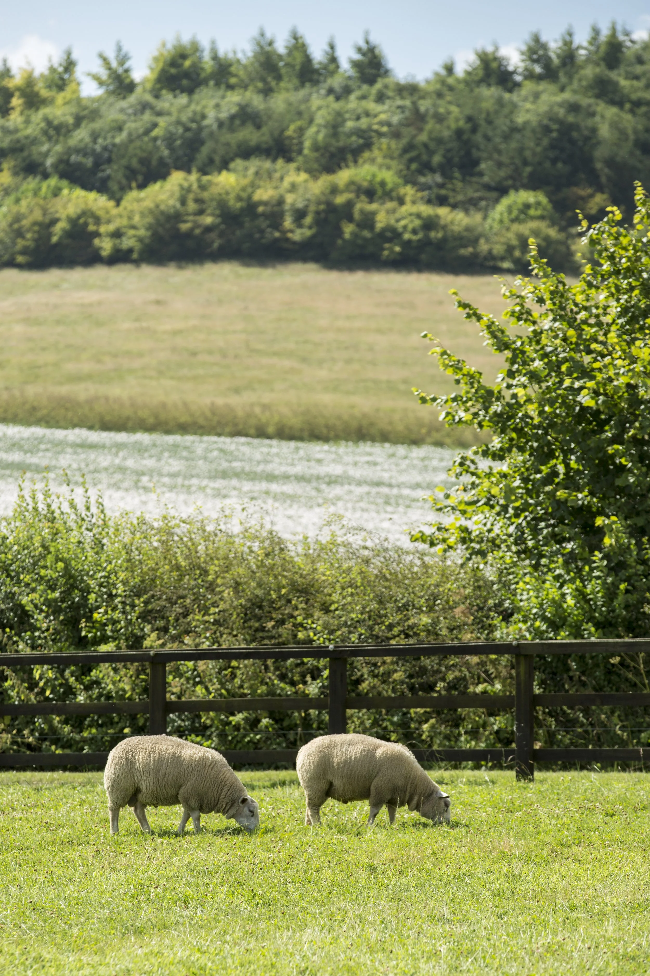 KF3228 - 052 (1).jpg