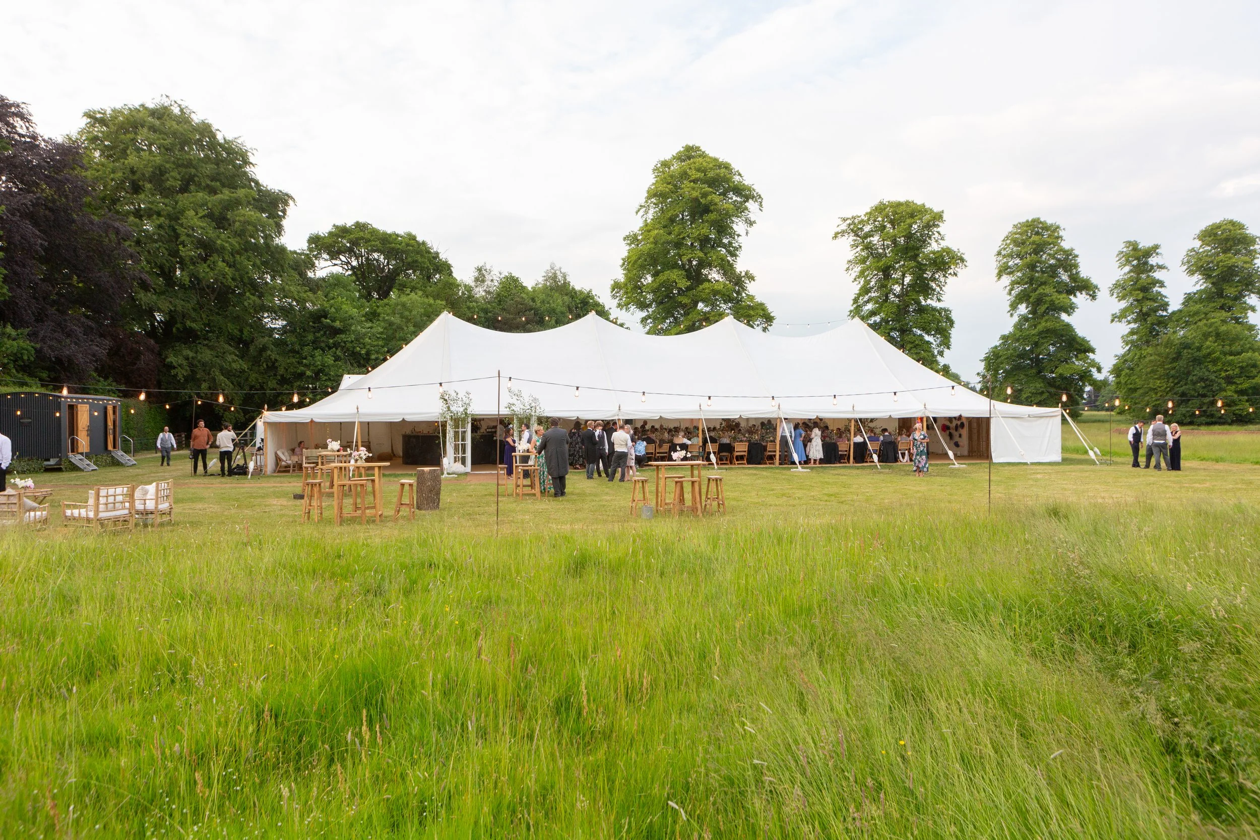 M3538-1154- srgb.jpg