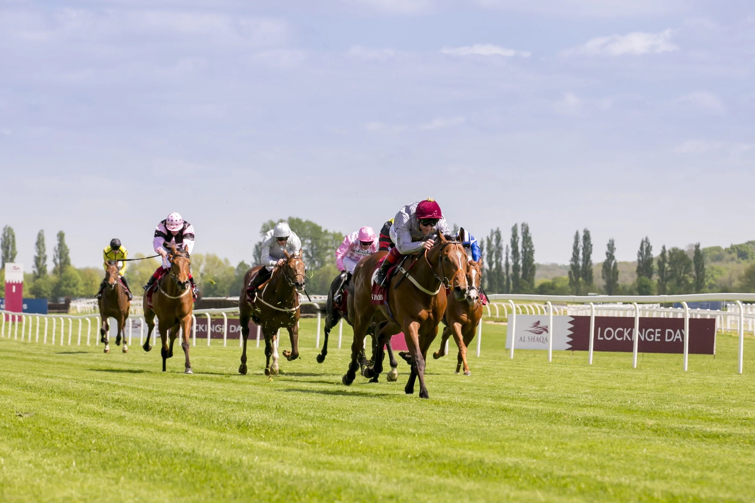 Horse race on a grassy track with jockeys in colorful uniforms riding horses under a blue sky with scattered clouds, race track barriers, and advertising banners.