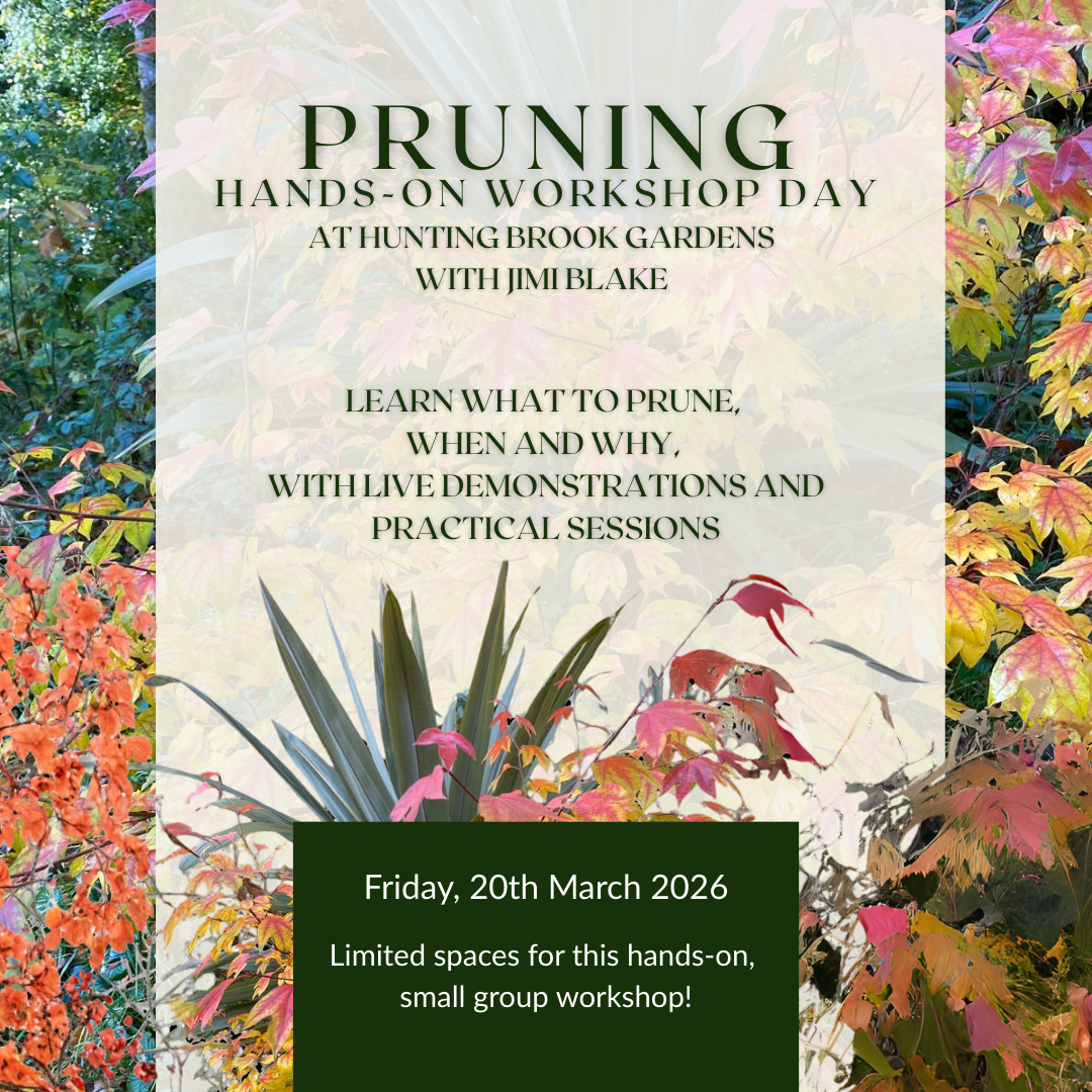 Pruning Techniques Course (12).png