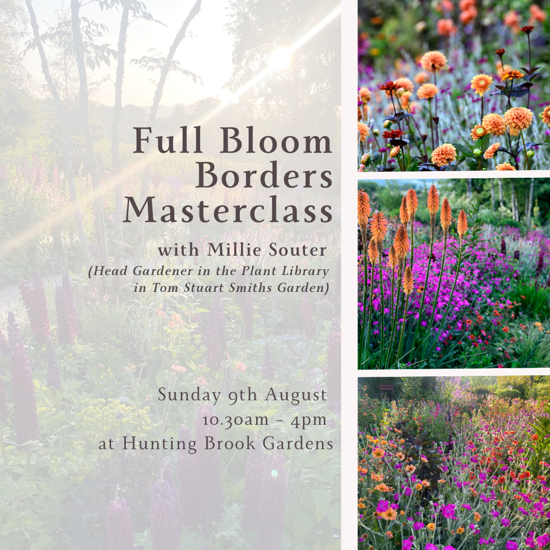 Full Bloom Masterclass .png