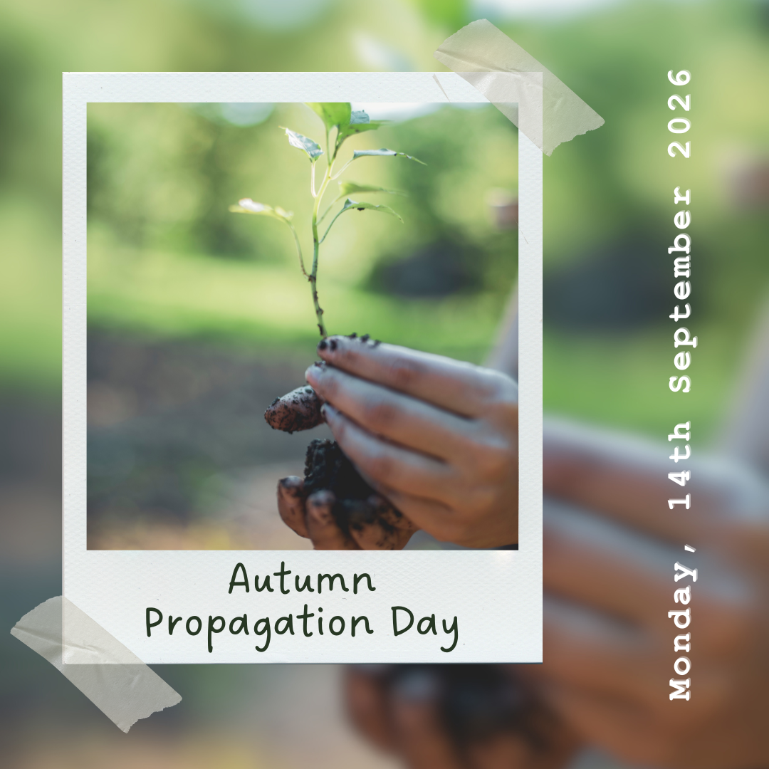 Hands On Propagation Day (2).png