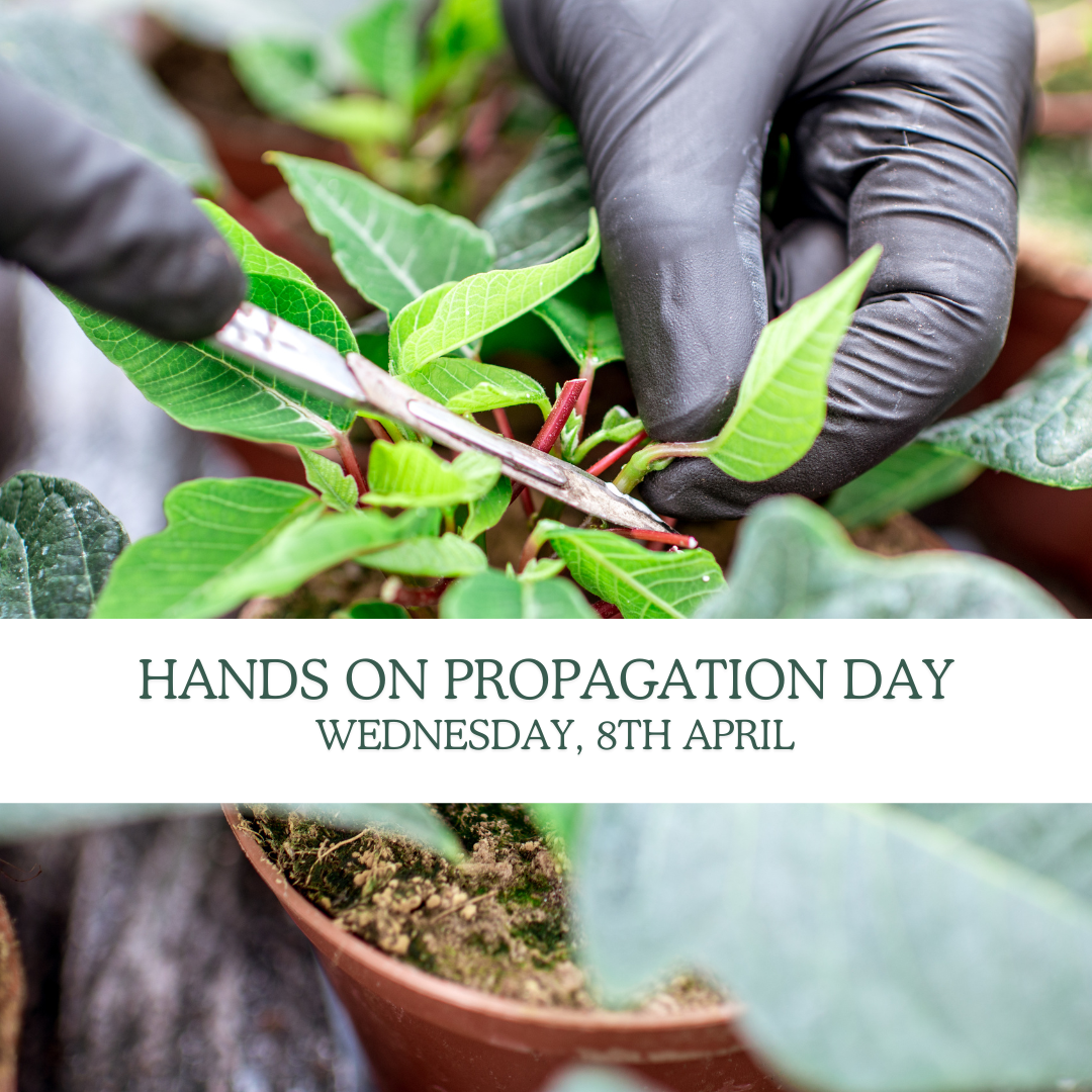 Propagation Hands-On Workshop with Jimi Blake in Hunting Brook