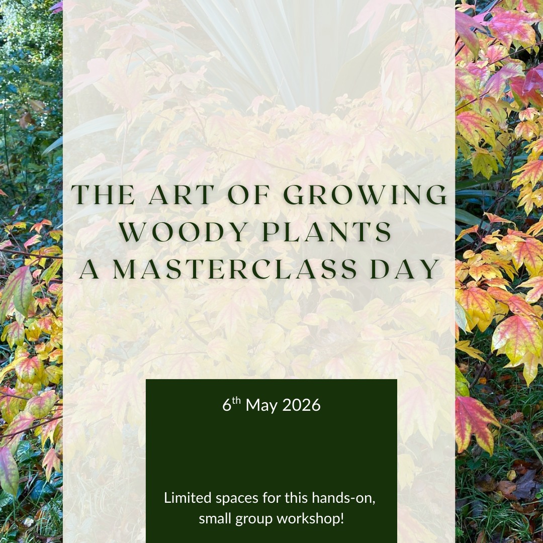 Pruning Techniques Course (10).png