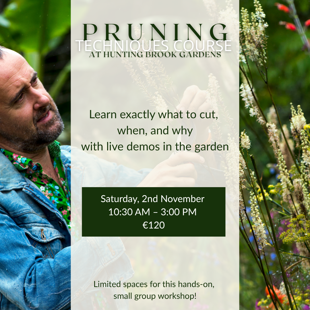 Pruning Techniques Course (1).png