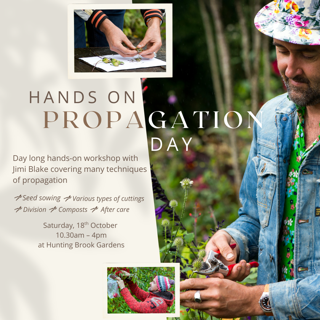 Propagation Day.png