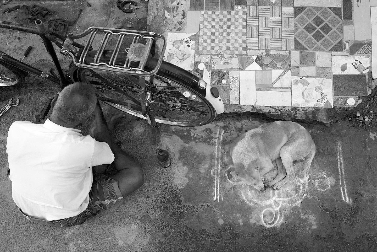 Traditionally drawn with white rice flour kolams are thought to bring prosperity to your home. Here, in the backstreets of south Chennai, a man fixes his bike whilst his dog naps.