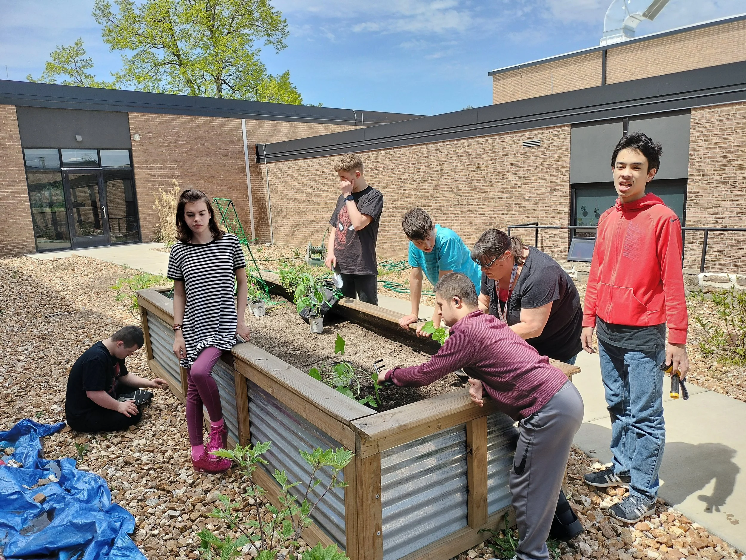 LSHS Life Skills Growing Garden 2.jpg