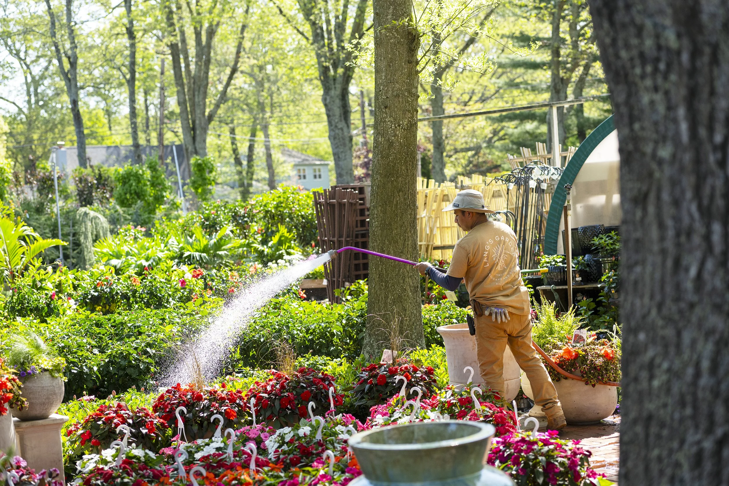 Watering3_LG051722.jpg