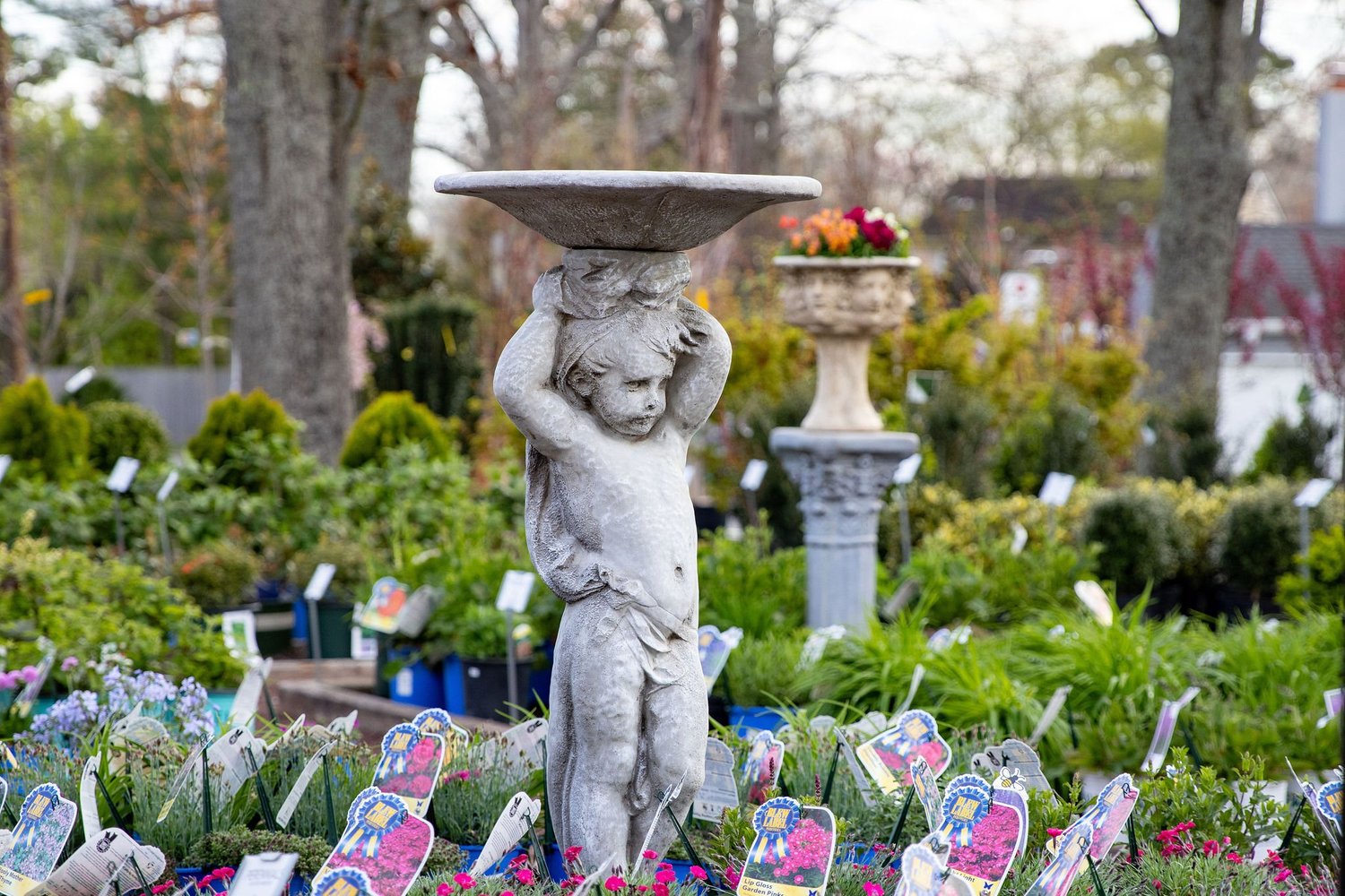 Lang's Garden