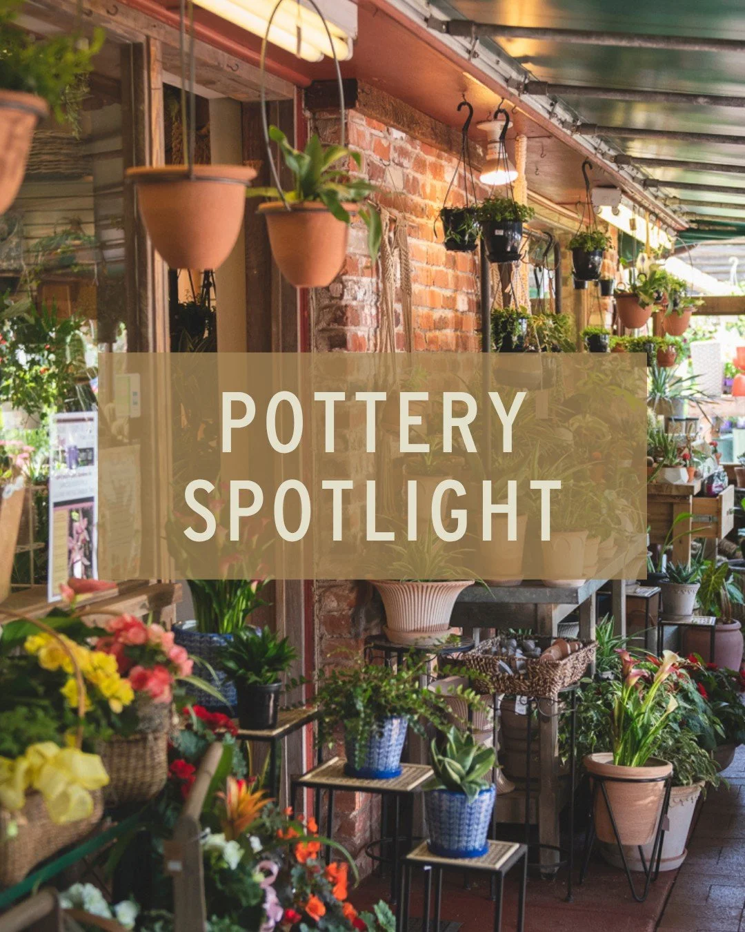 Check out Anamese - a women-owned wholesale distributor of stunning Vietnamese &amp; Italian pottery that is uniquely crafted and built to last.

🪴 Handcrafted with quality materials

🪴 Unique, curated designs you won't find just anywhere

🪴 Our k