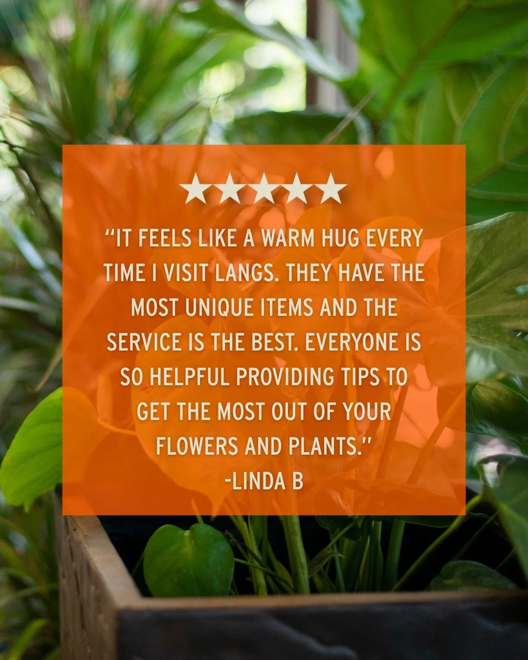 This is exactly the experience we strive to create for every single one of you. ⭐⭐⭐⭐⭐

Thank you for the great review Linda! 

Come see for yourself what our customers are raving about 👇
📍 Lang's Garden Center - 2020 West Ave, Linwood
📞 (609) 927-
