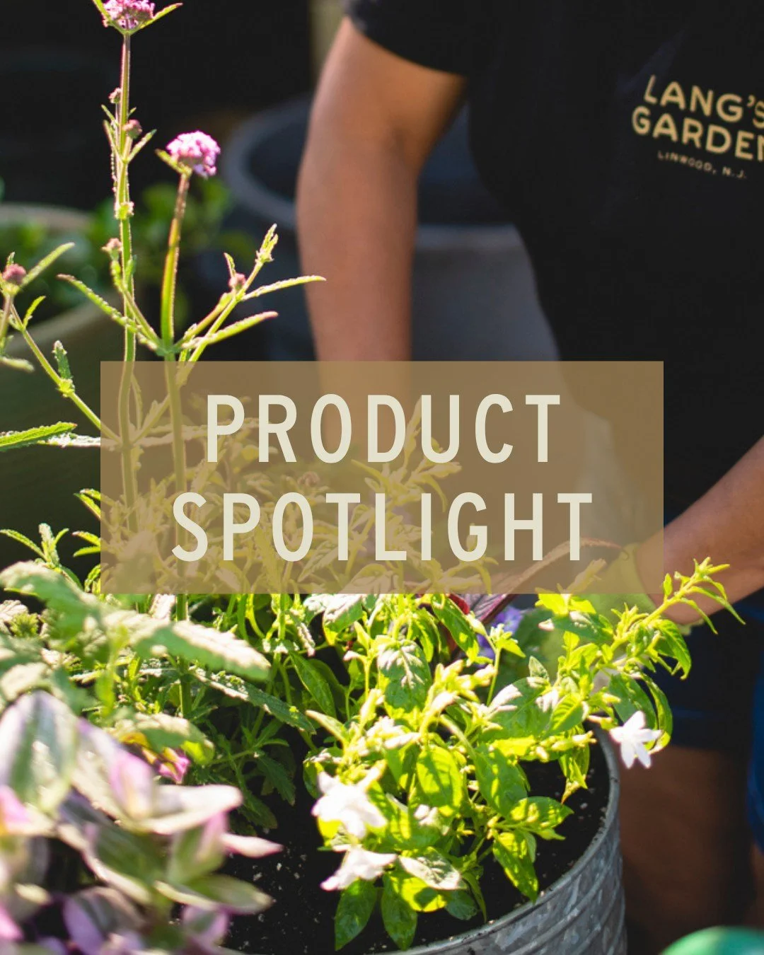 We 💚 Espoma products! Here's why:

Founded in 1929 in Millville, NJ, @espomaorganic has been making organic fertilizers and soil amendments for nearly 100 years. They're one of the most recognized names in natural gardening and a go-to brand for hom