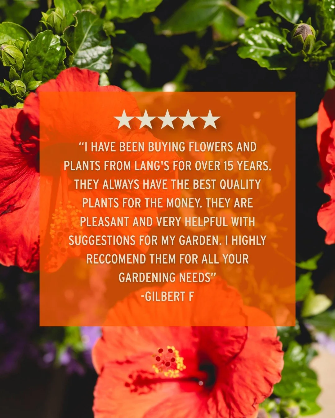 Happiness guaranteed! ⭐

Thanks for the amazing review &amp; recommendation, Gilbert! See you again soon!

Come see for yourself what our customers are raving
about 👇
📍 Lang's Garden Center - 2020 West Ave, Linwood
📞 (609) 927-6283
🕐 Open Mon to 